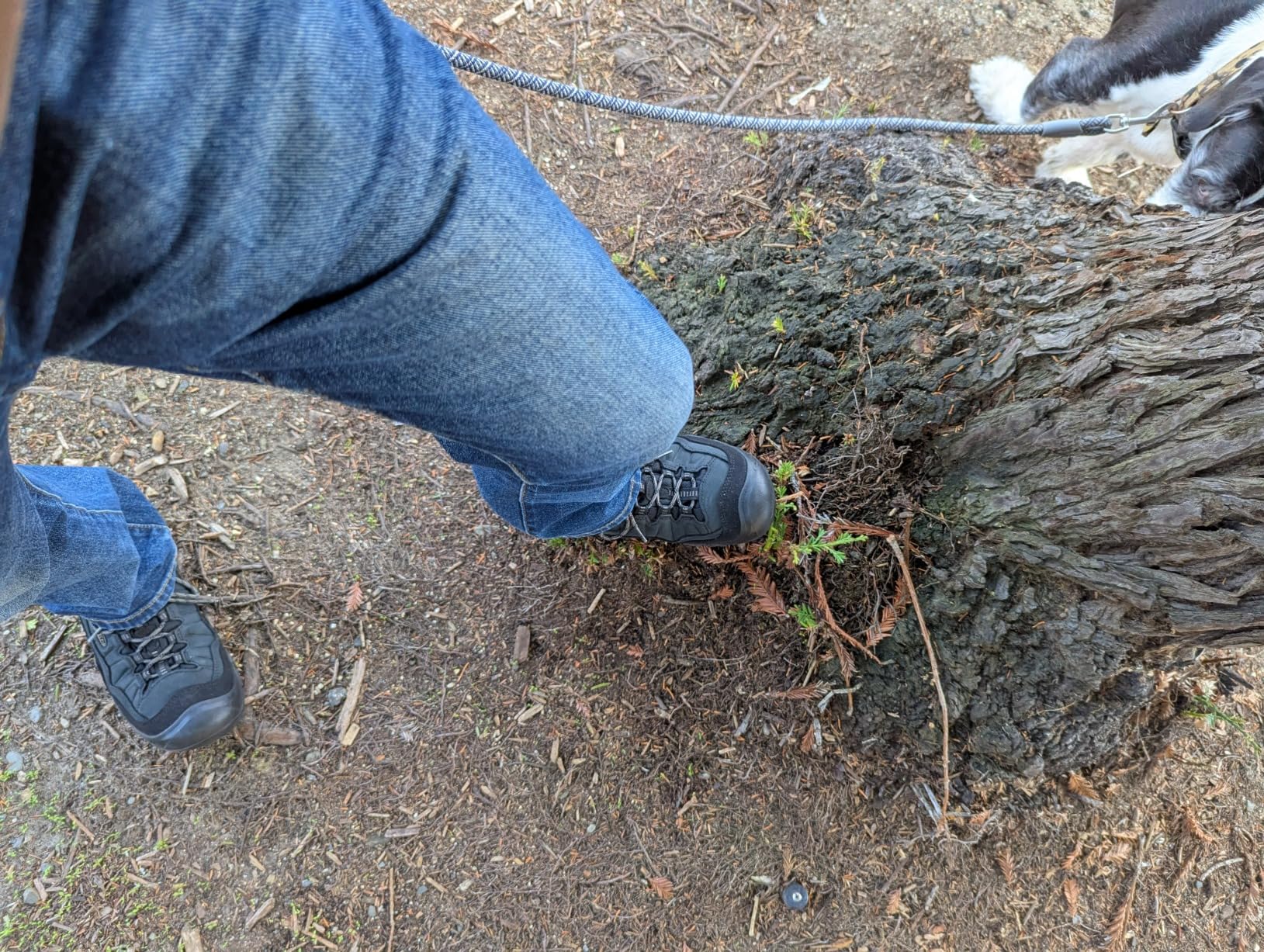 KEEN Targhee IV Final Assessment and Recommendation