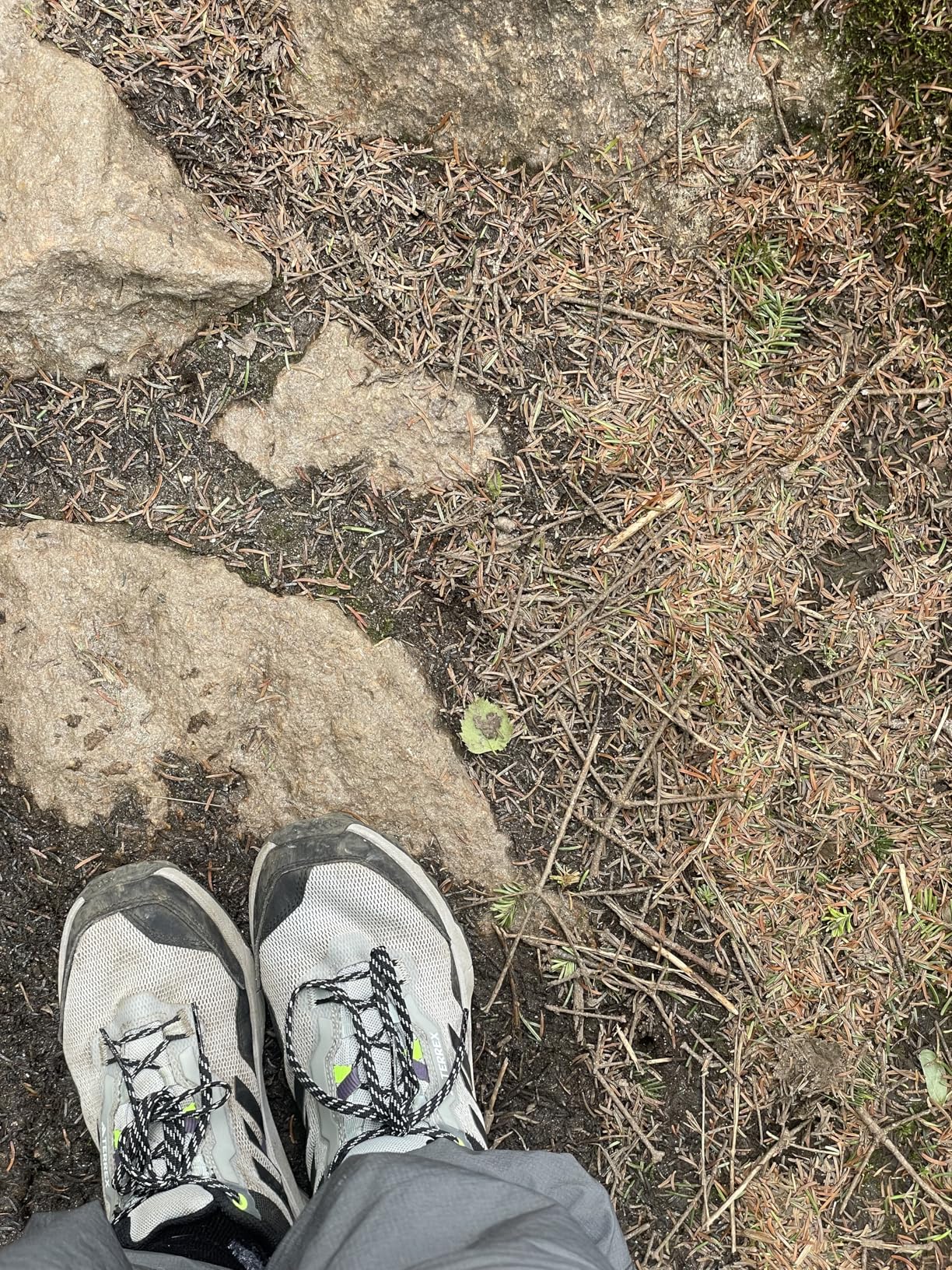 Action shot of Adidas Terrex AX4 on rocky trail terrain showing outsole grip pattern