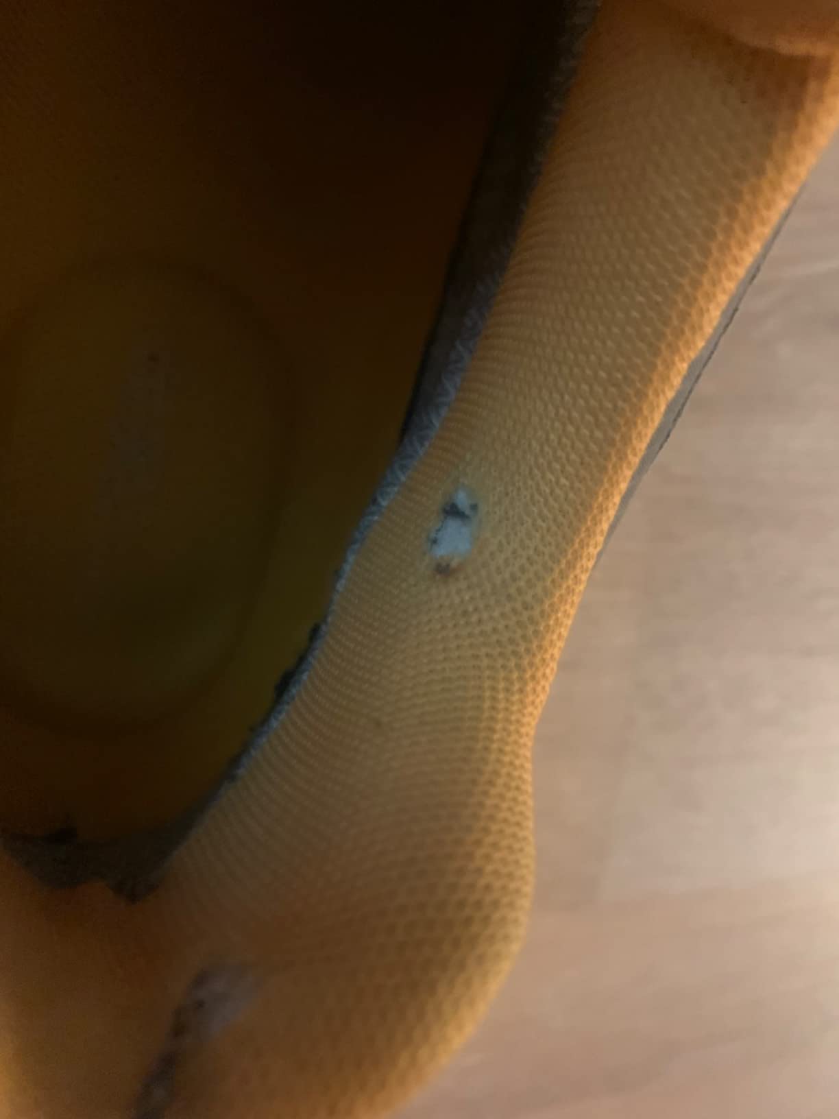 TFO hiking shoes real-world trail testing showing performance on rocky terrain and outdoor conditions