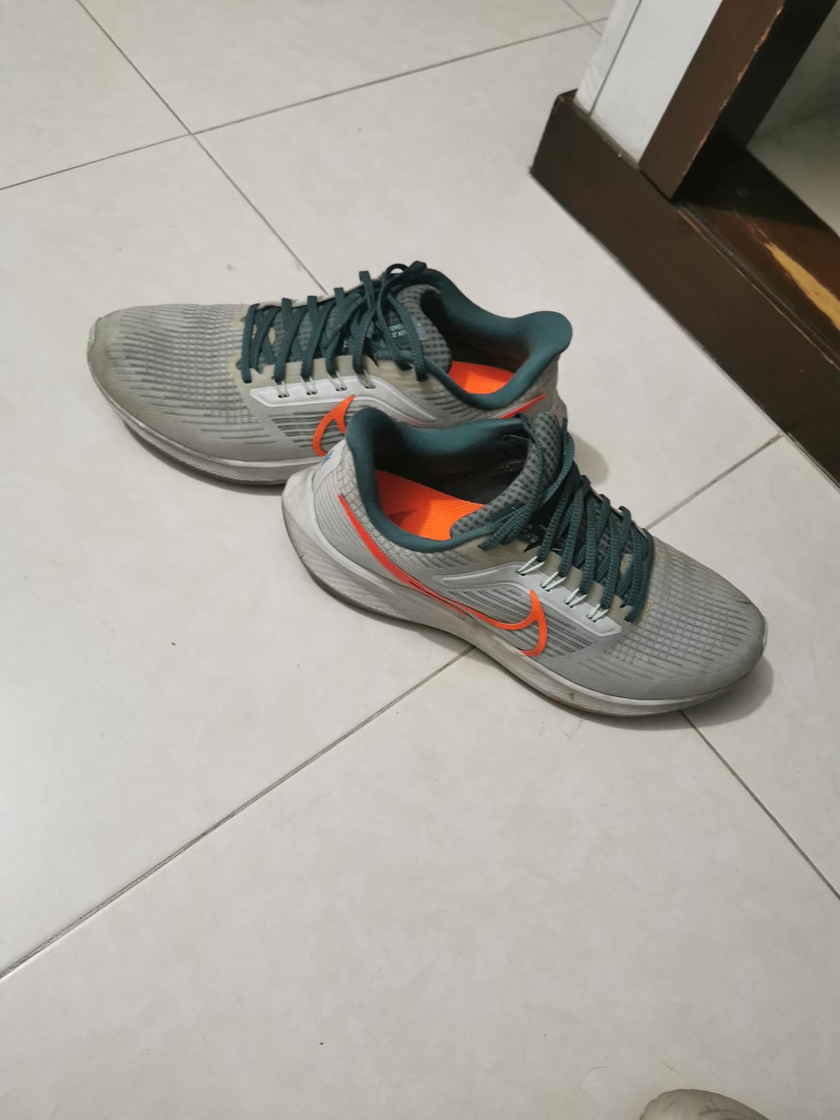 Nike Pegasus 39 customer photo showing real-world durability after extended use