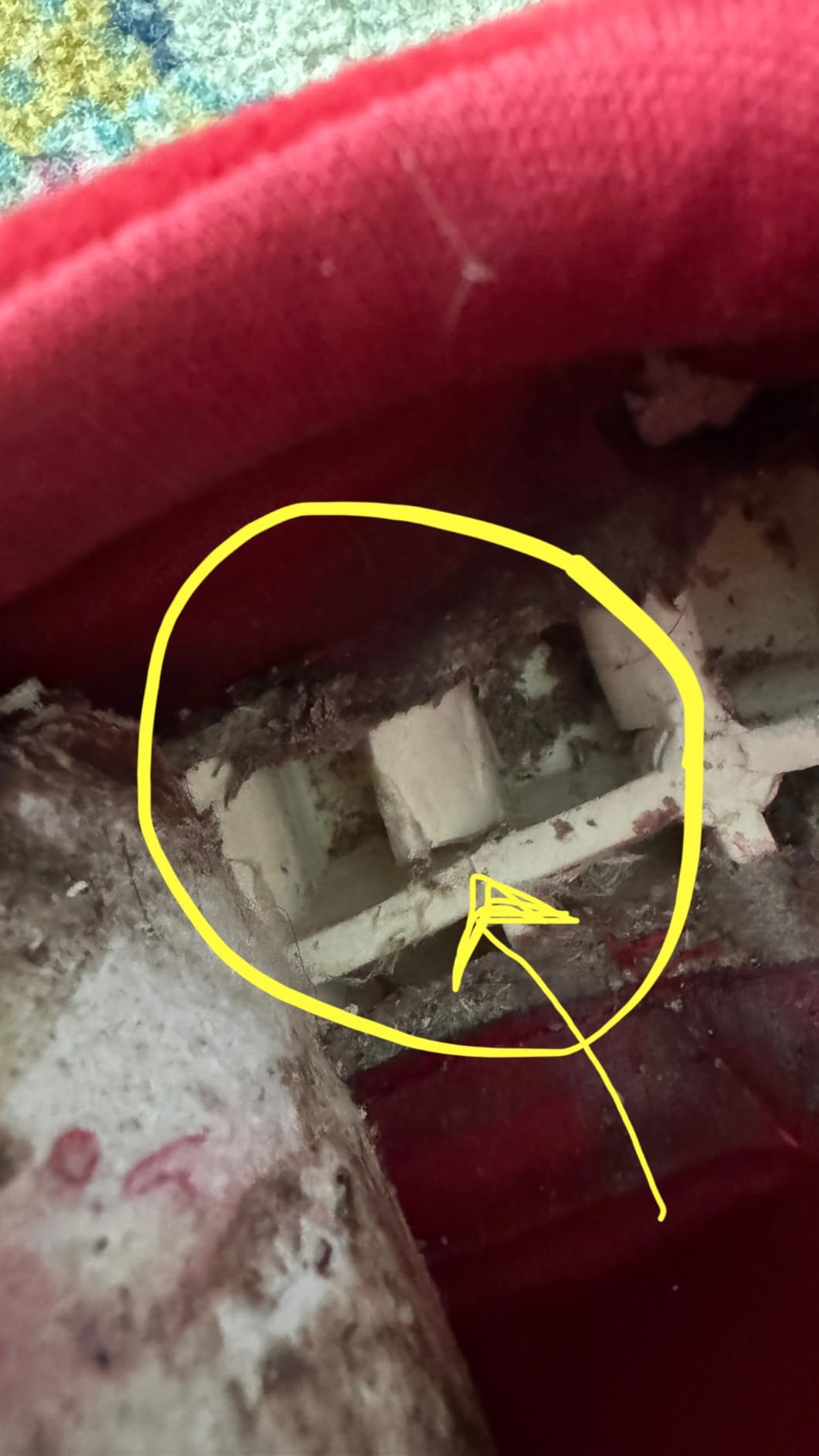 Madden Girl Navida sneaker showing wear patterns after several months of use