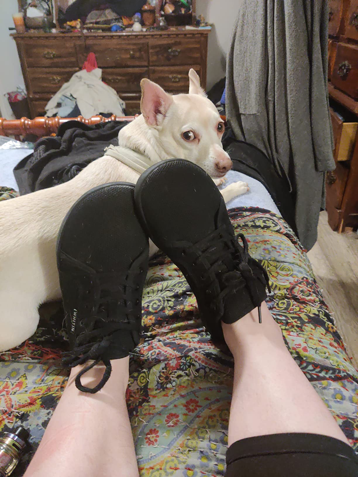 WHITIN barefoot shoes in action with happy customer and pet showing real-world satisfaction and daily use