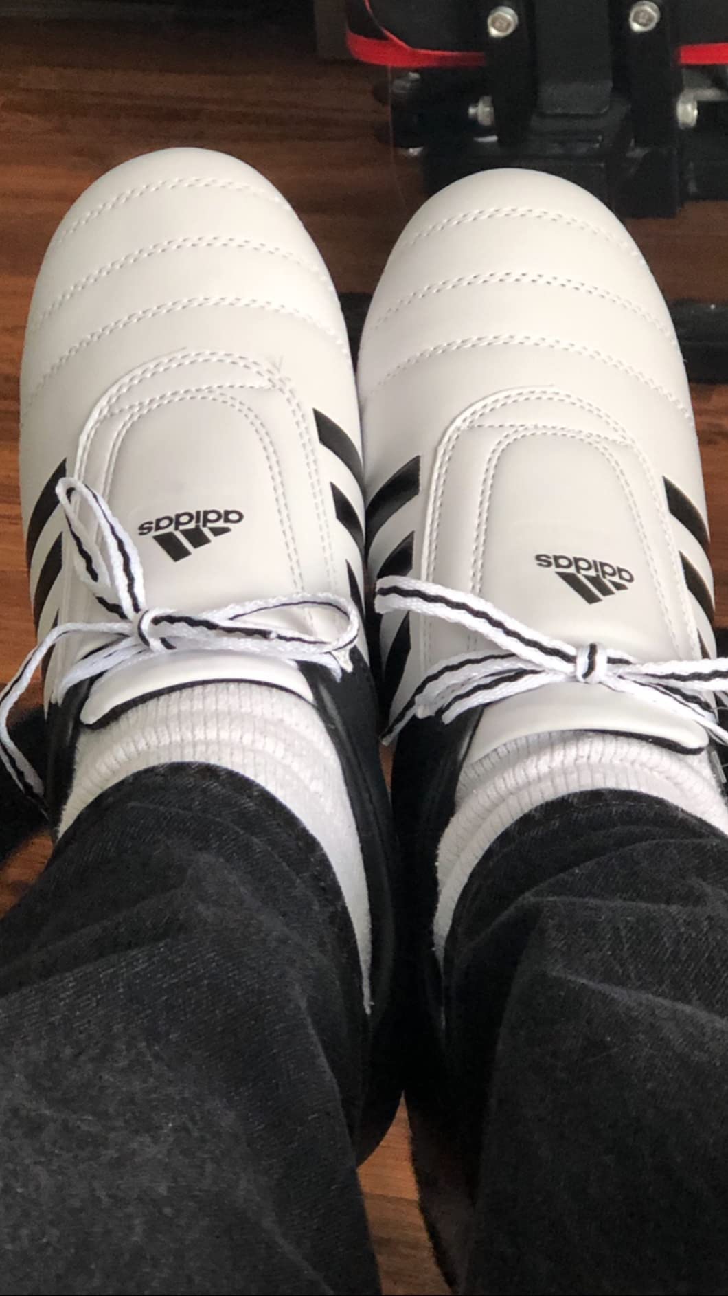 Martial arts training session showing Adidas Adi-Kick shoes in action during Taekwondo practice