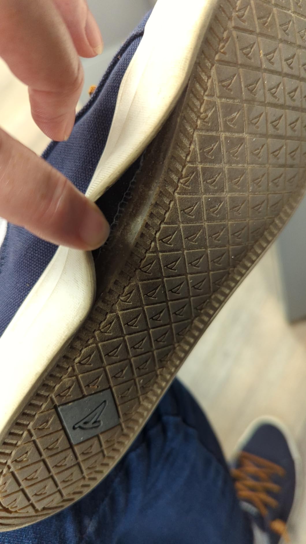 Sperry Women's Crest Vibe Core Sneaker navy blue colorway showing slip-on design and canvas construction
