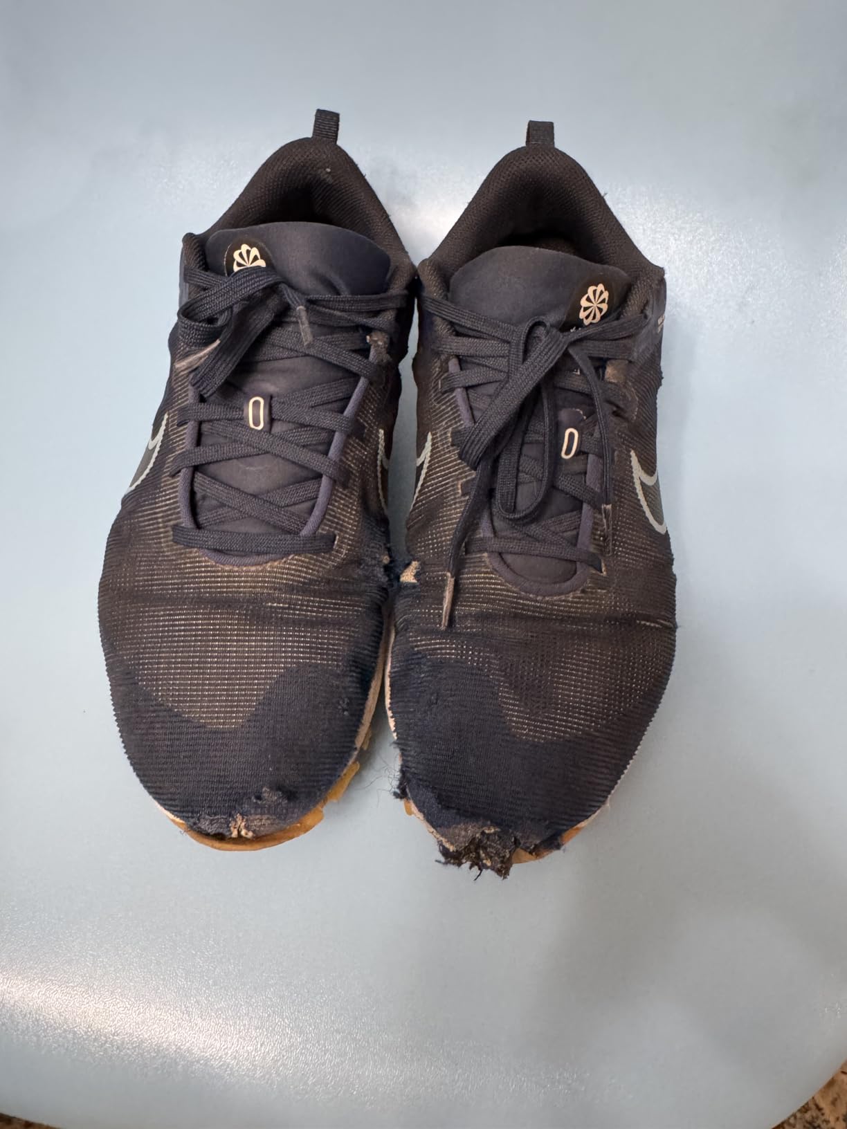 Nike Downshifter 12 comparison showing marketing claims versus real-world performance after 8 weeks testing
