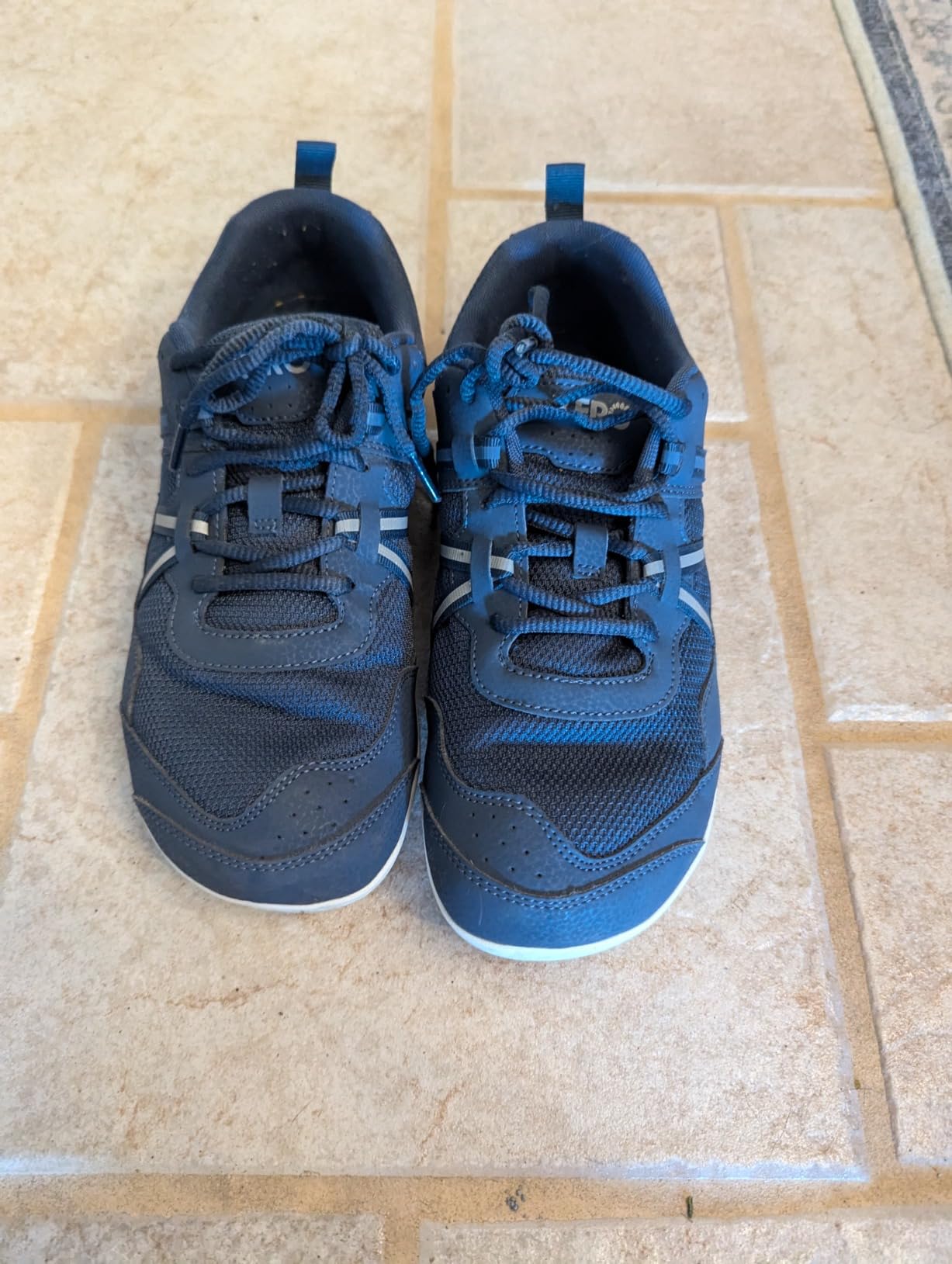 Xero Prio showing wear patterns after 8 weeks of regular use and testing