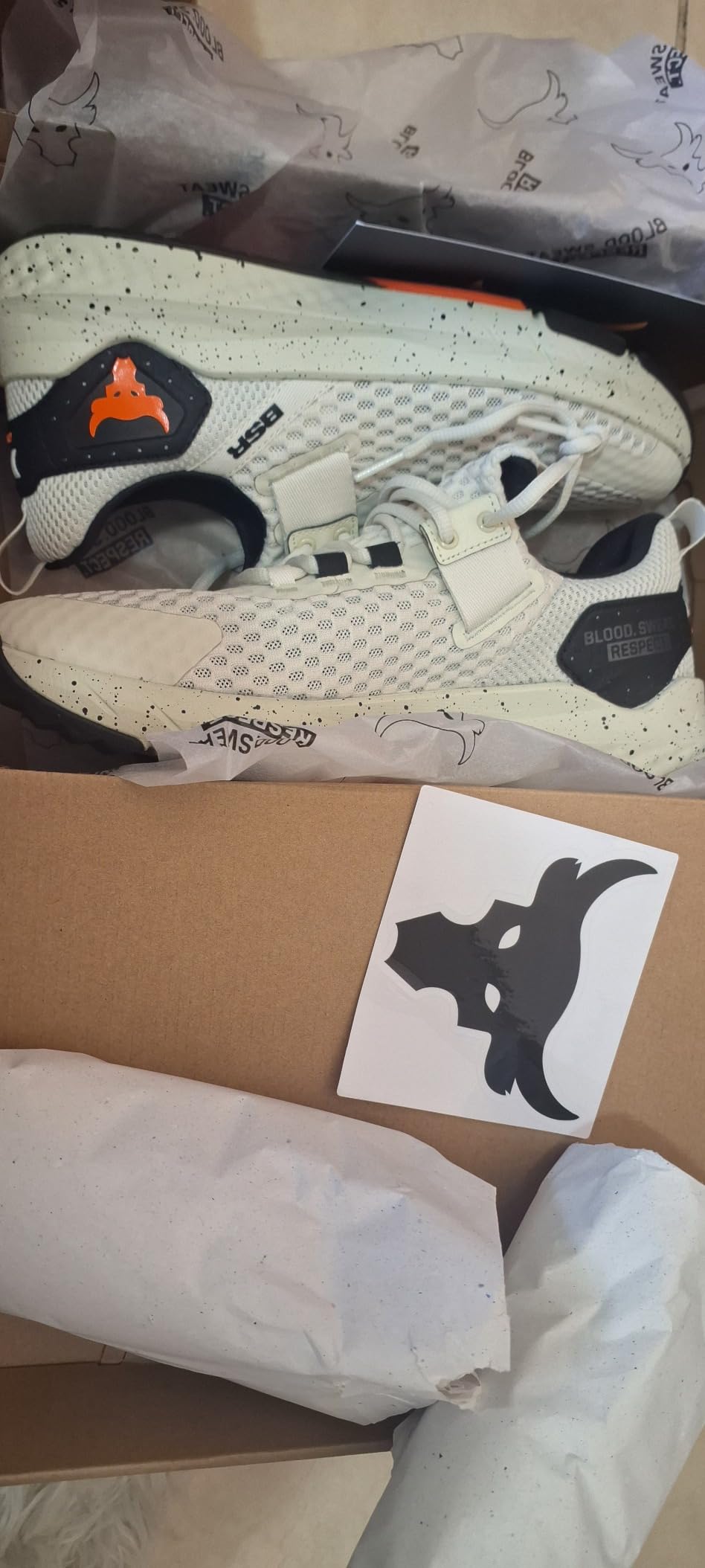 Project Rock BSR 4 training shoes showing final assessment after comprehensive testing