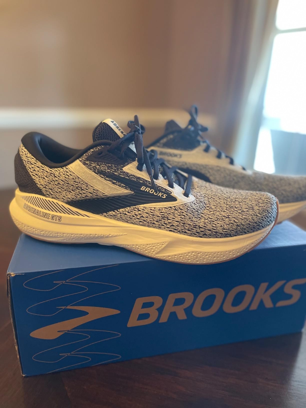 Side profile of Brooks Adrenaline GTS 24 showing DNA Loft v3 midsole and GuideRails support system