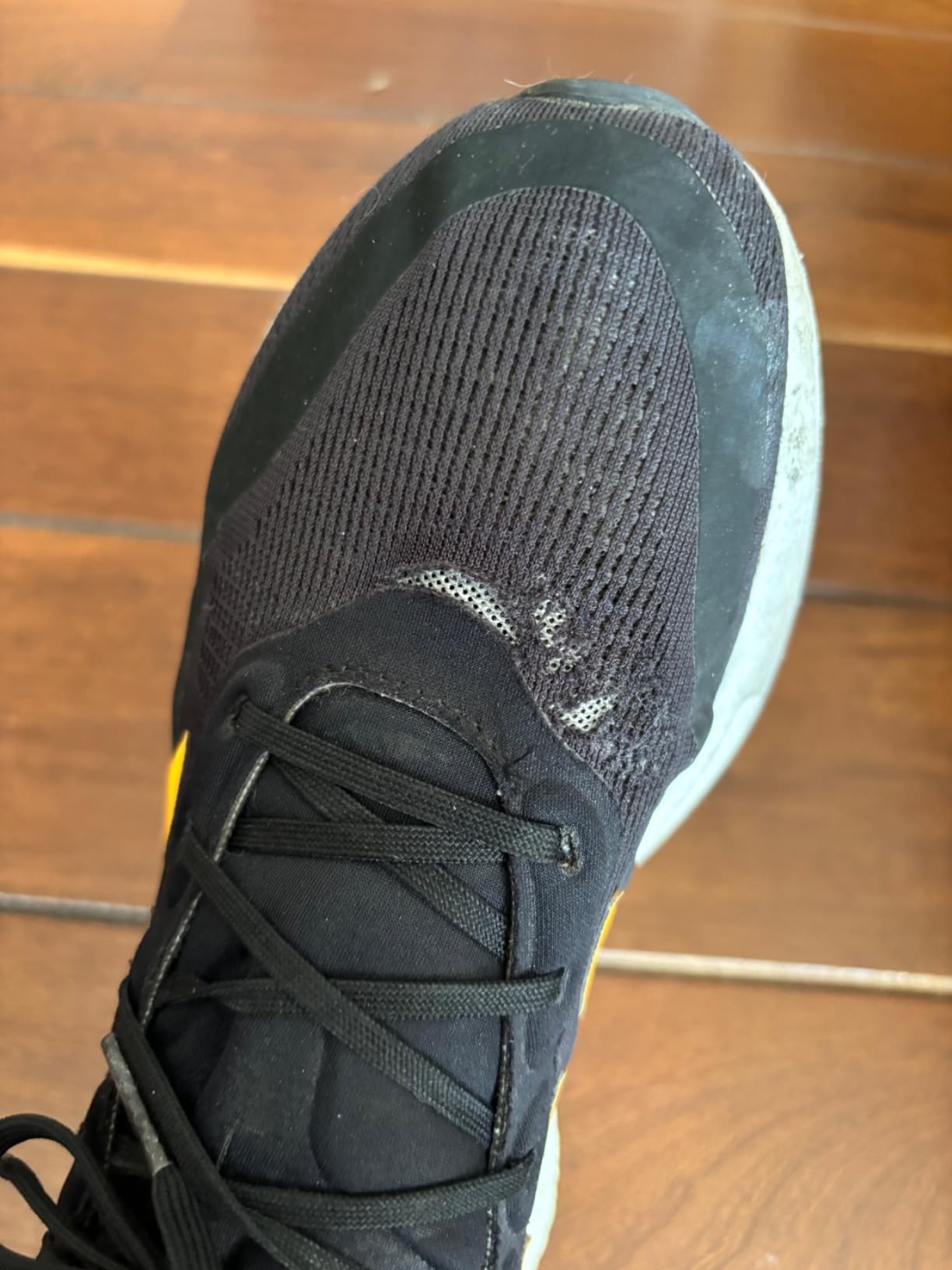 Final assessment of Adidas Supernova showing long-term performance and value