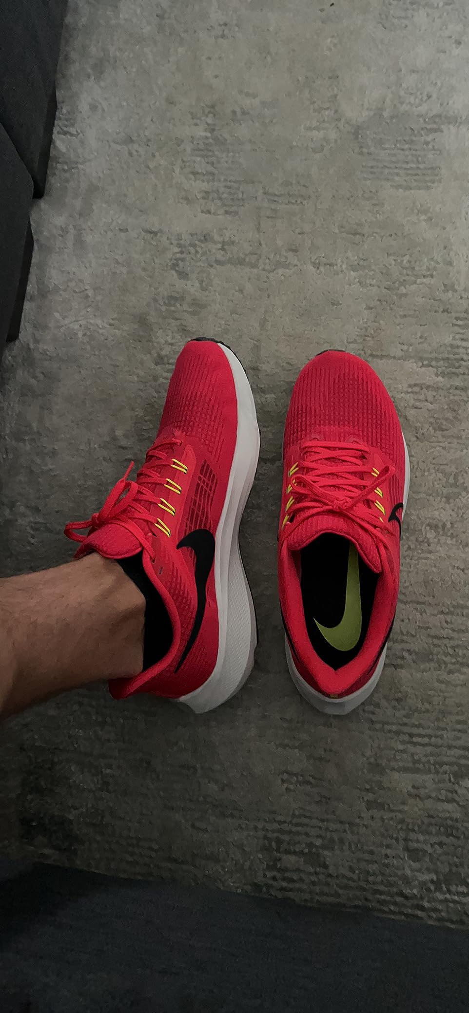 Nike Pegasus 39 worn during outdoor running session showing real-world usage
