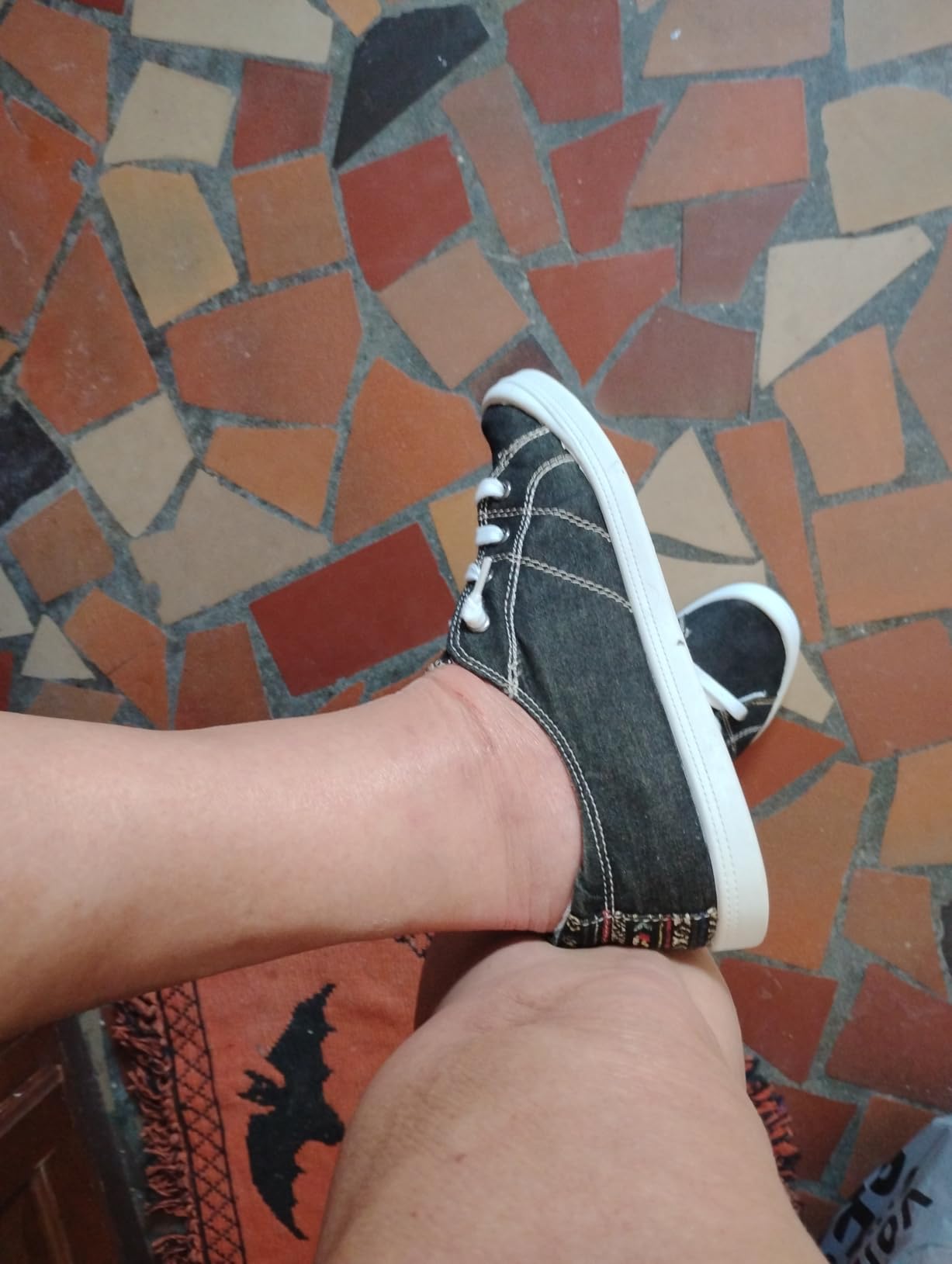 Multiple canvas sneakers showing variety of color options and style versatility