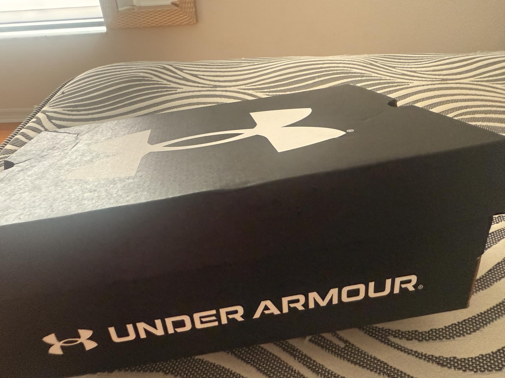 Under Armour Charged Assert 10 heel counter and ankle support detail