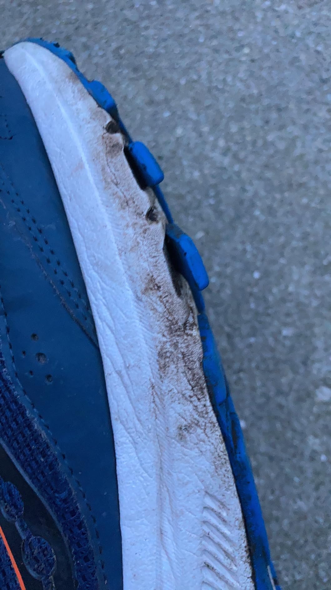 Saucony Cohesion 15 showing early signs of sole separation issue reported by multiple users