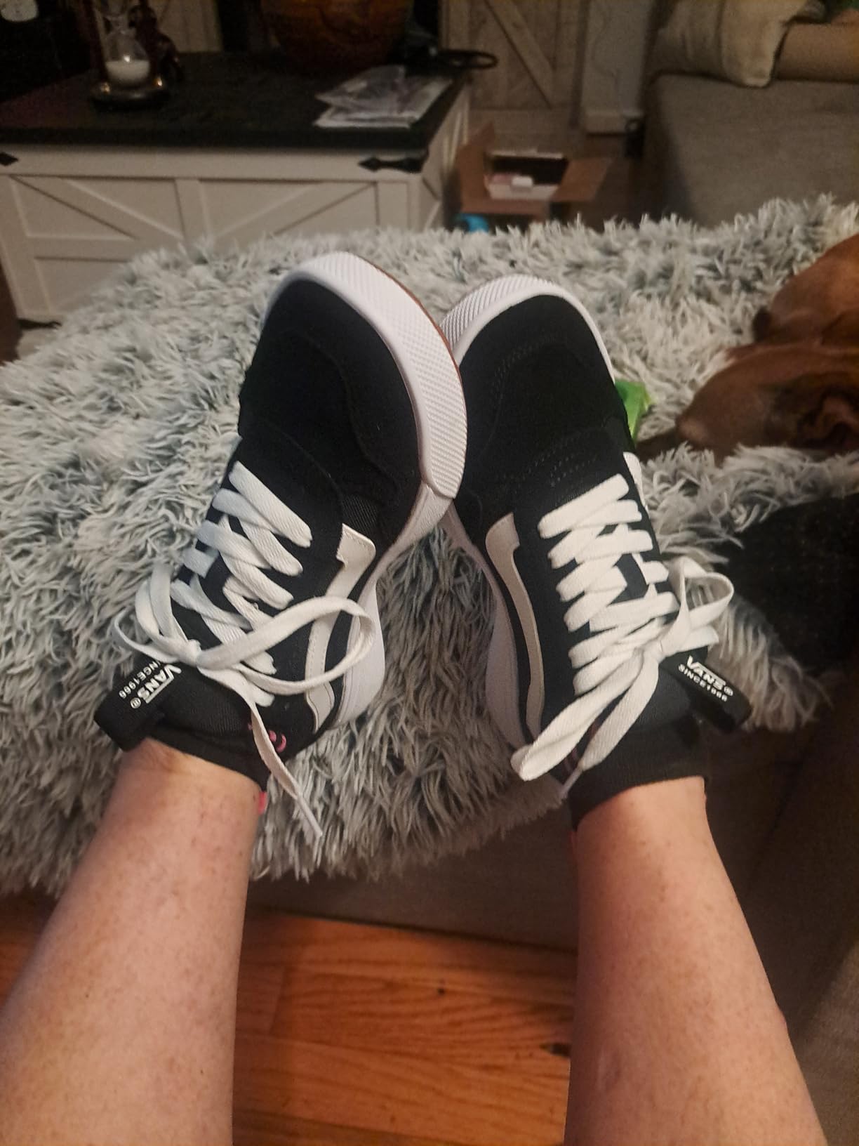 Vans Range EXP in natural lighting showing color and material details