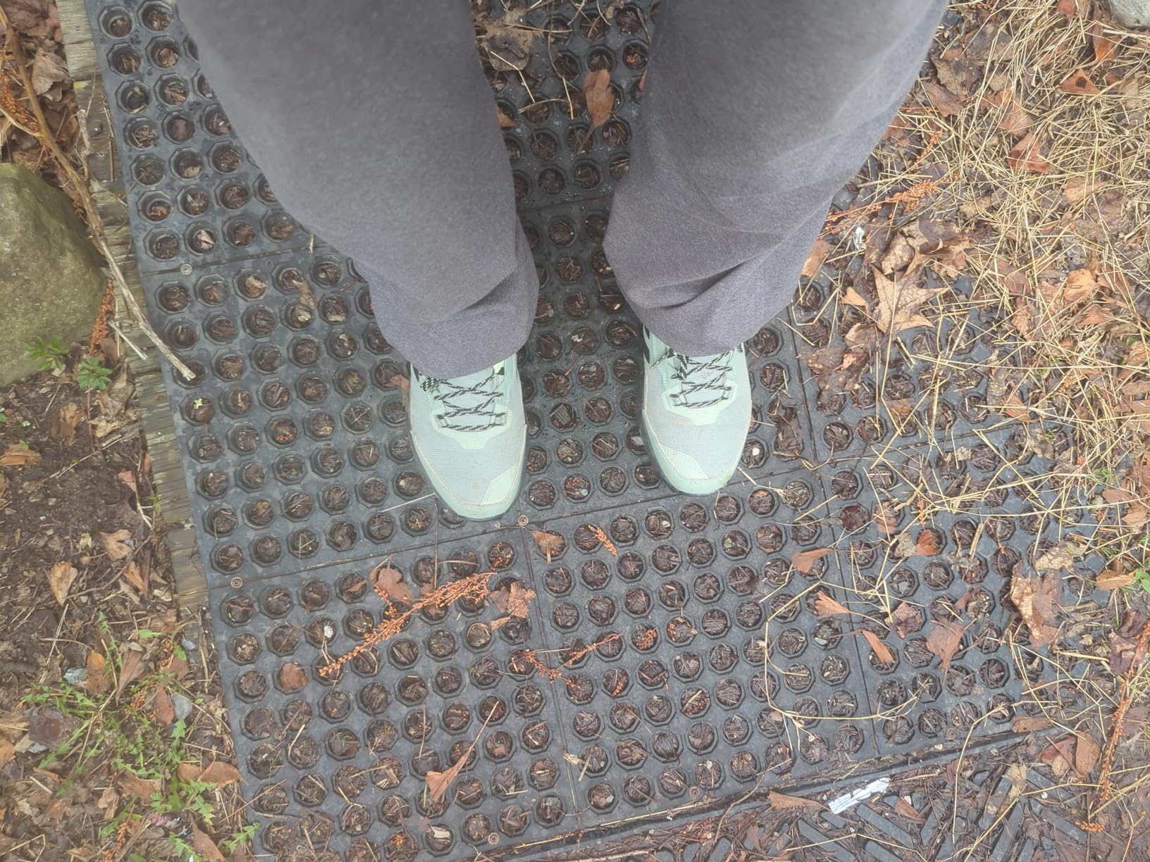 Adidas Terrex AX4 in outdoor trail setting showing real-world usage conditions