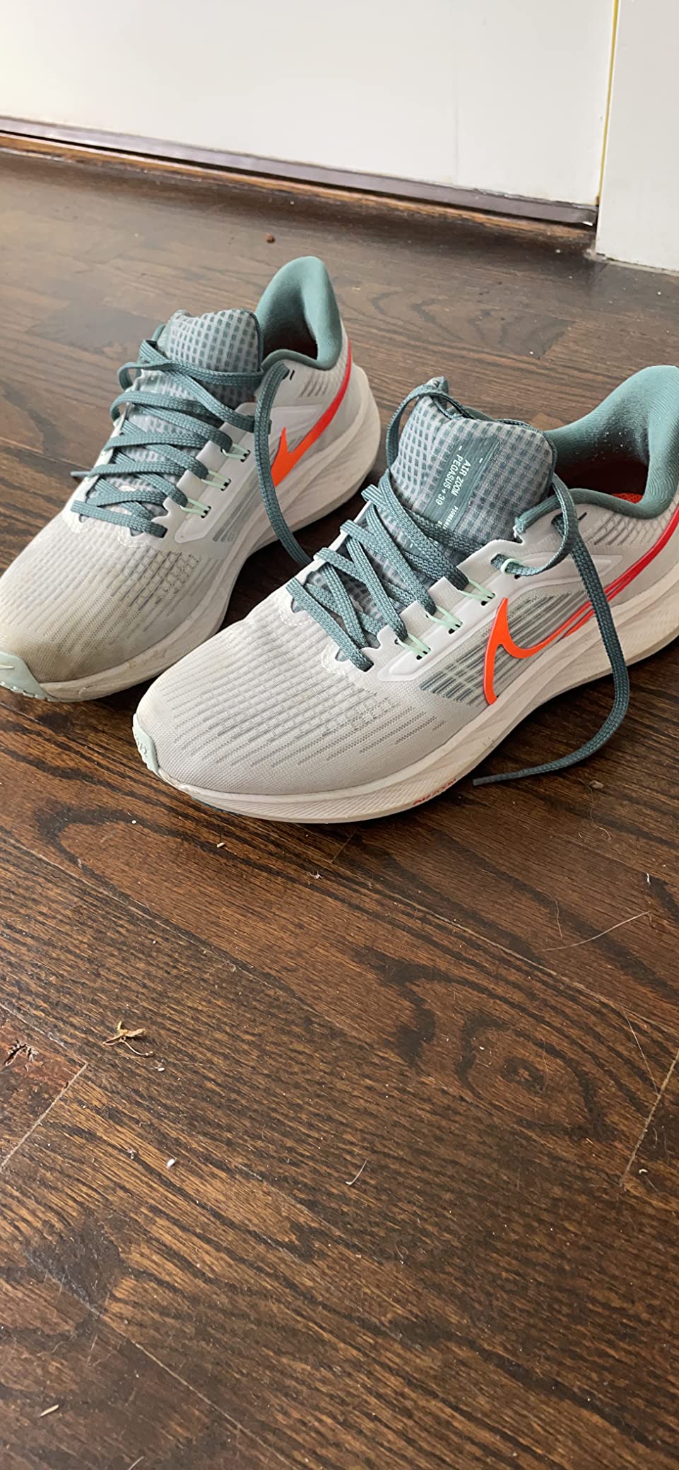 Nike Pegasus 39 Premium final product shot showing overall design and build quality