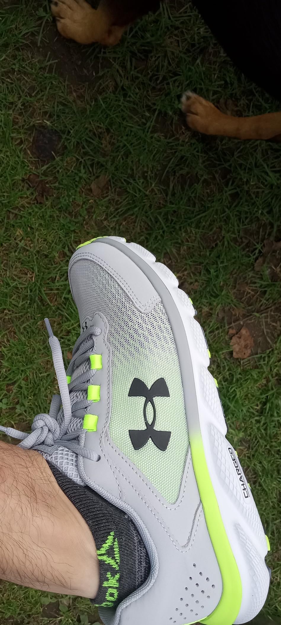 Under Armour Charged Assert 9 in action during running session showing durability and performance on various surfaces