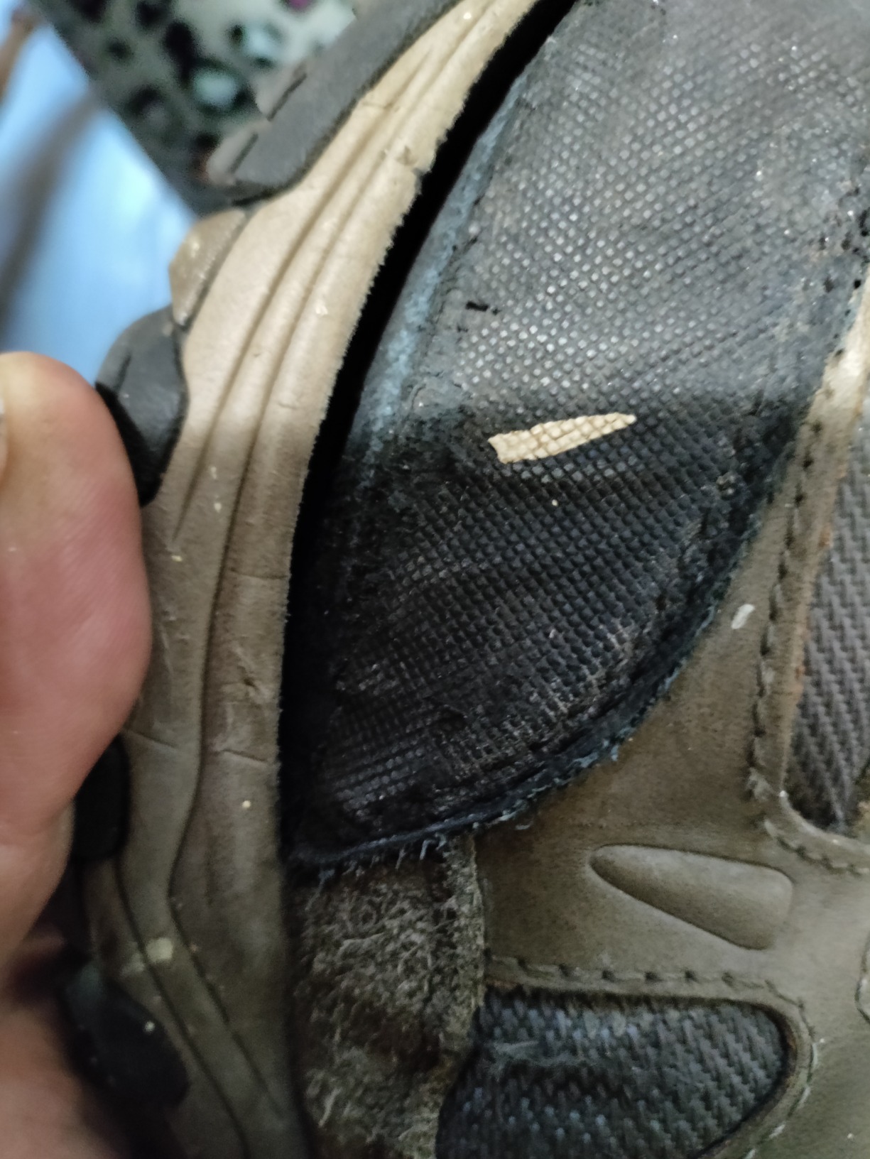 Final assessment photo showing Skechers hiking shoe after 3 months of use with visible wear