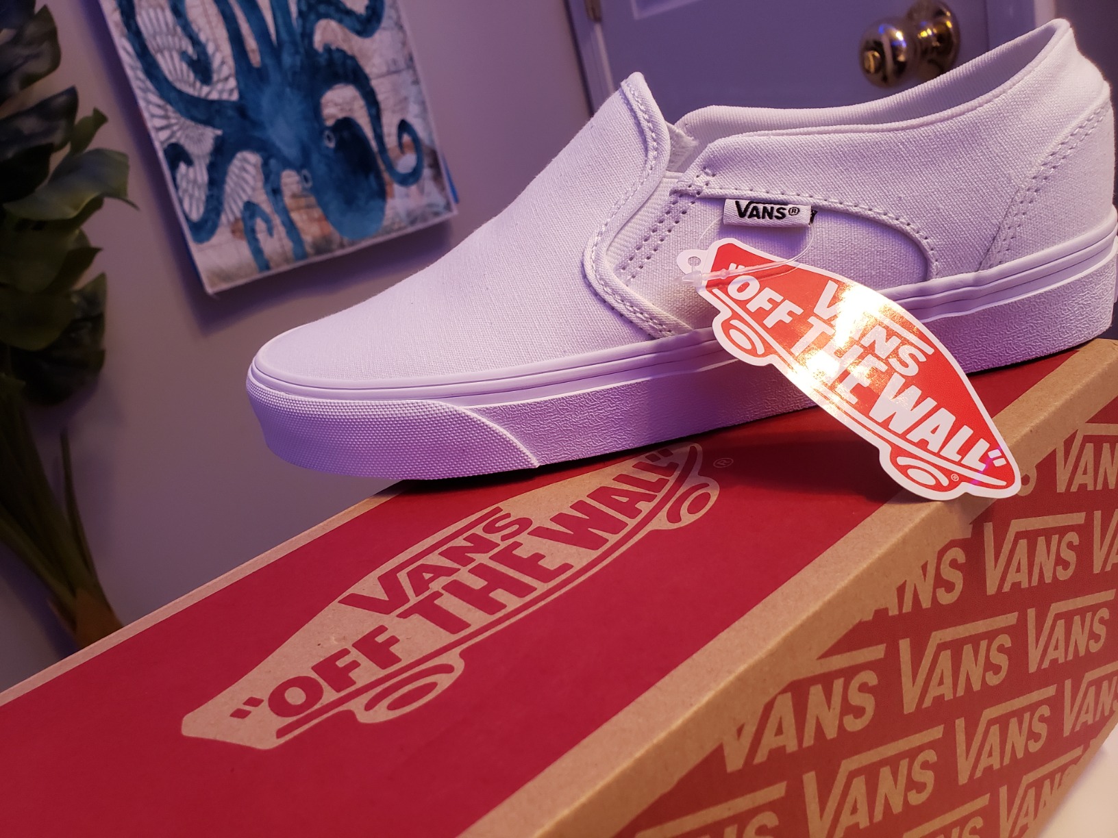 Vans Asher slip-on shoe worn with casual outfit showing real-world styling