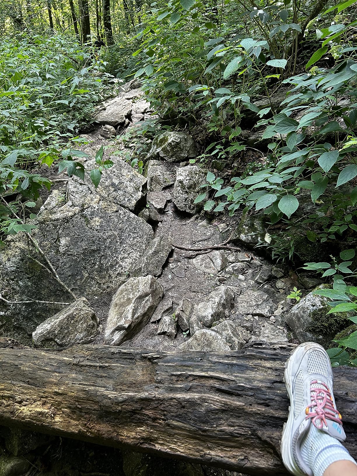 Columbia Women's Hatana Breathe in natural hiking setting showing practical performance