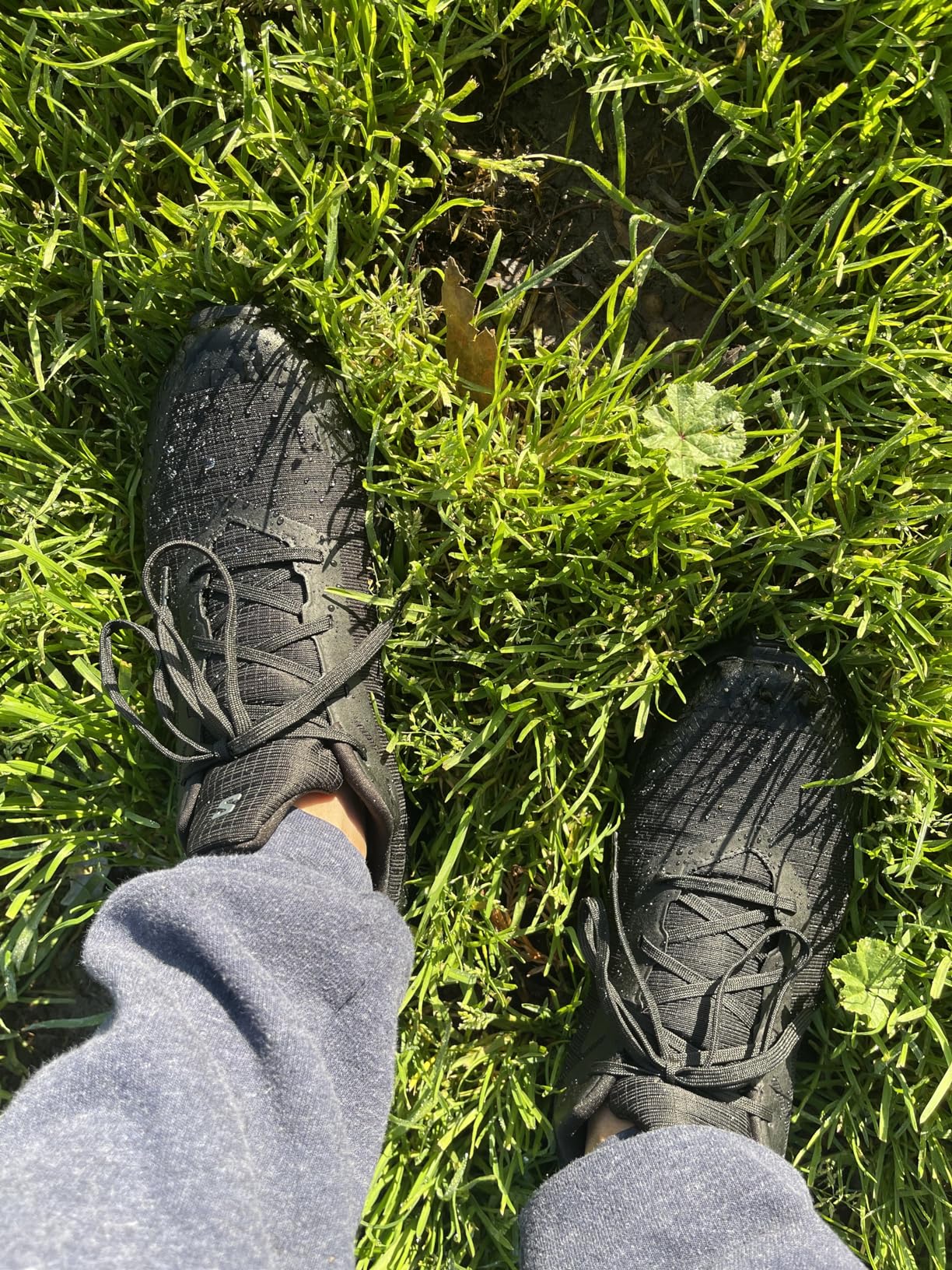 Salomon Alphacross 5 Gore-Tex upper construction showing Gore-Tex membrane and synthetic overlays