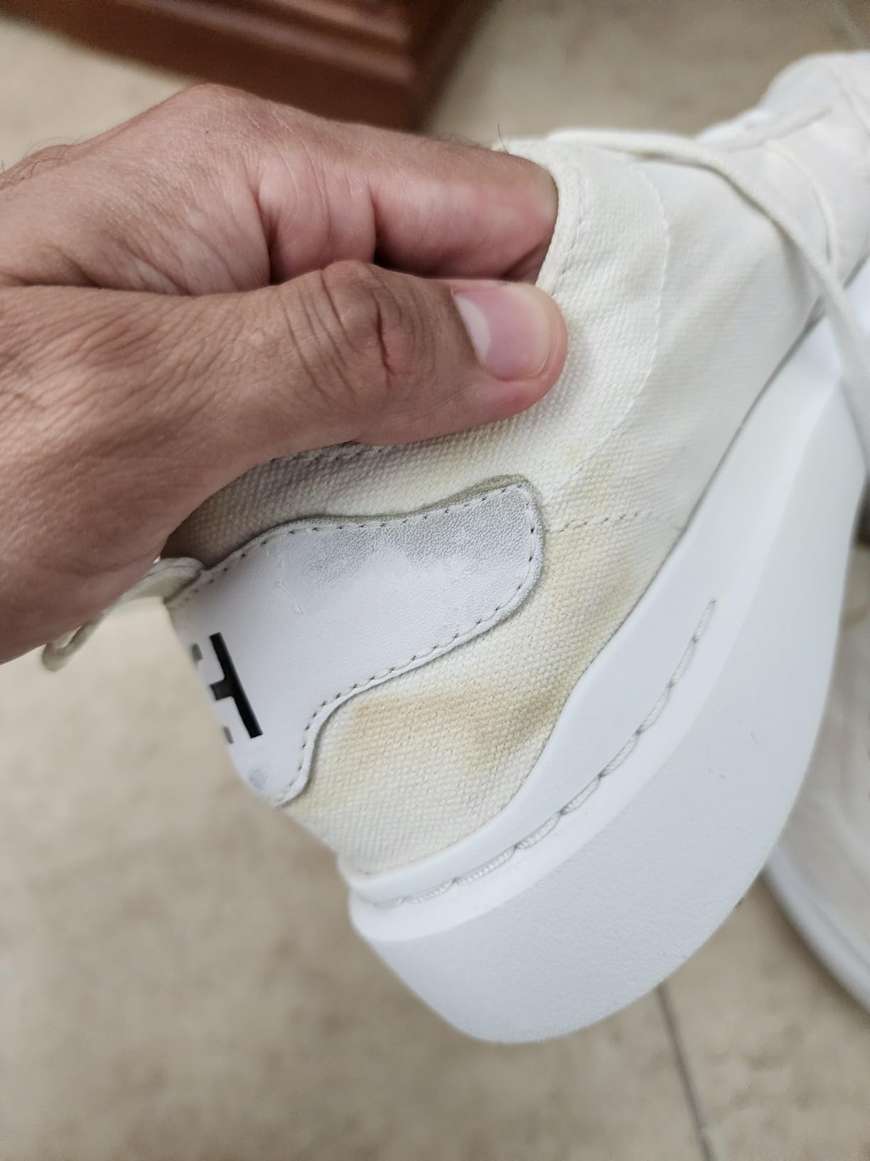 Cole Haan GrandPro Rally product shot showing clean white canvas construction and branding