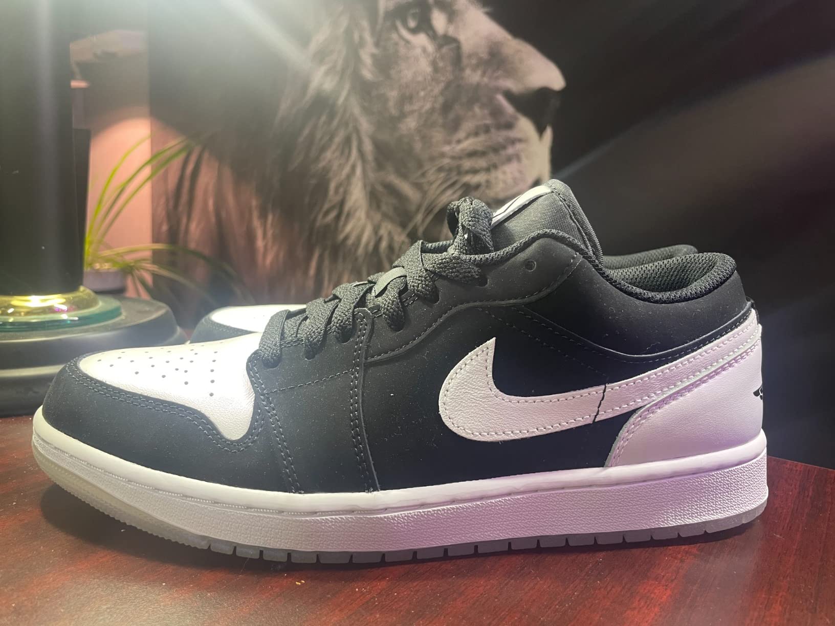 Jordan 1 Low worn in casual setting showing how they look with everyday outfits