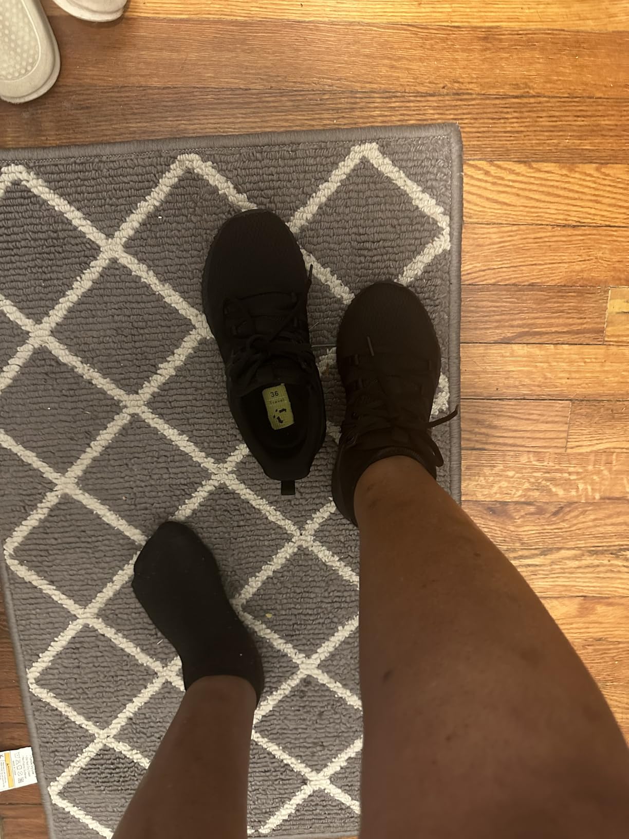 Multiple color options of Abboos sneakers showing variety and style versatility