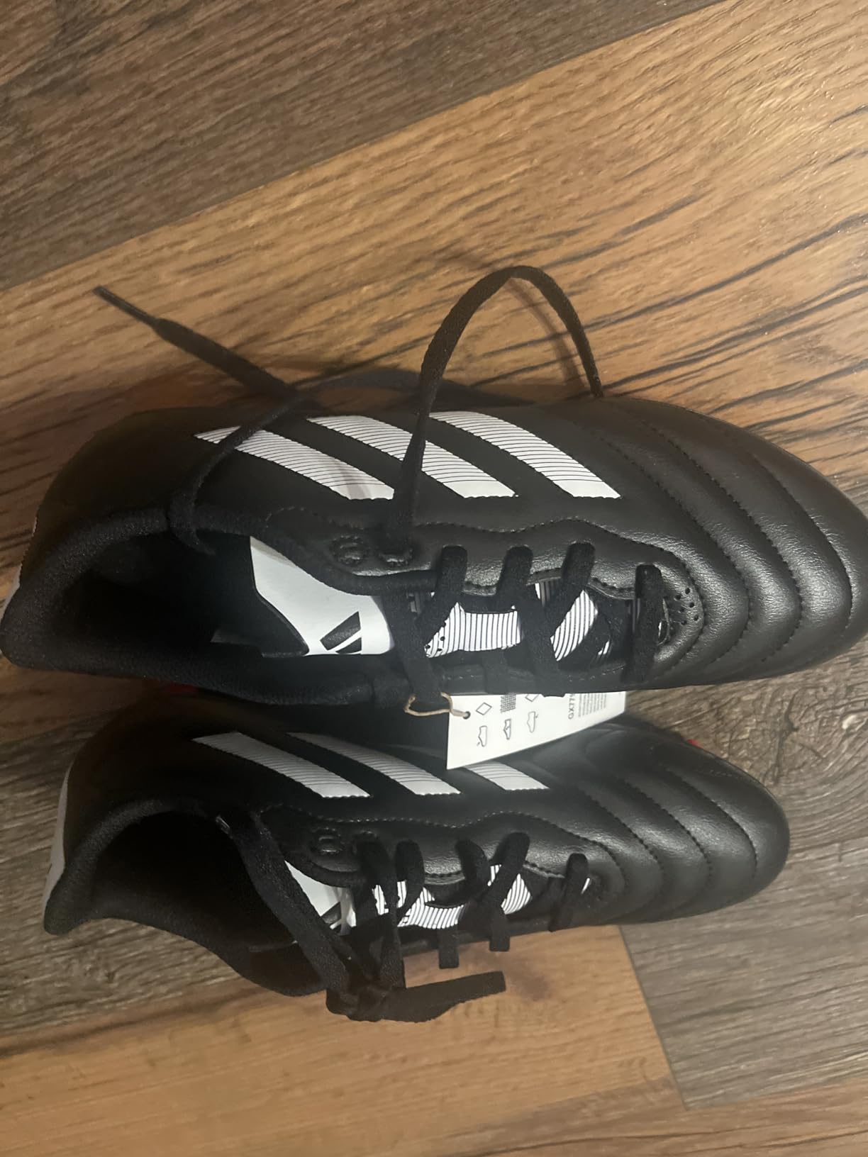 Bottom view of Adidas Goletto VII showing firm ground stud pattern and outsole design
