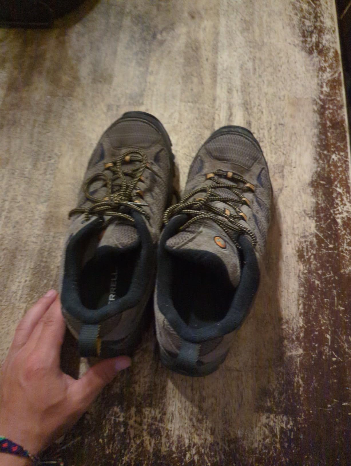 Merrell Moab 3 hiking shoes on varied terrain showing versatility across different trail conditions
