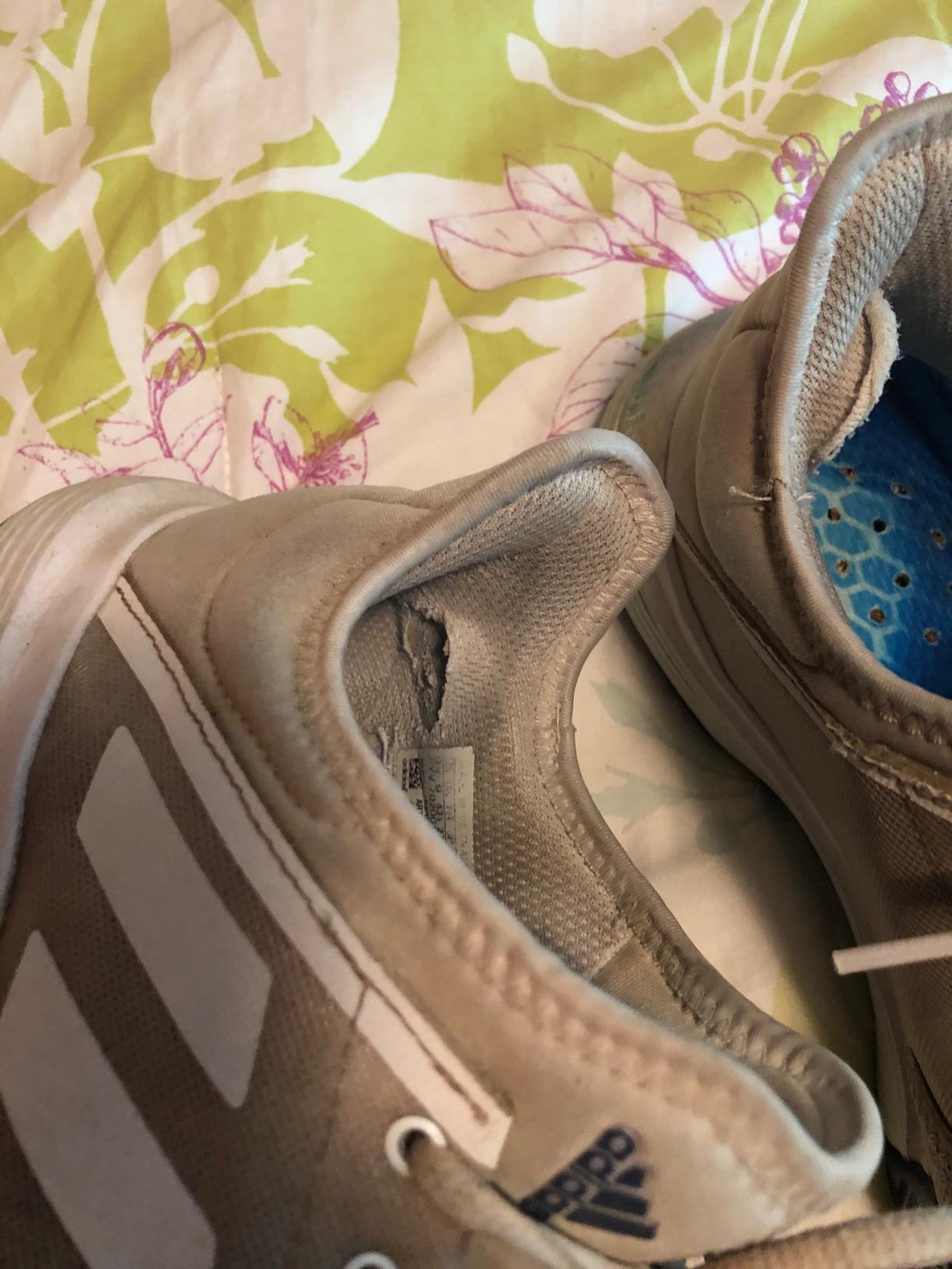 Adidas Gamecourt showing real-world durability concerns from user reviews