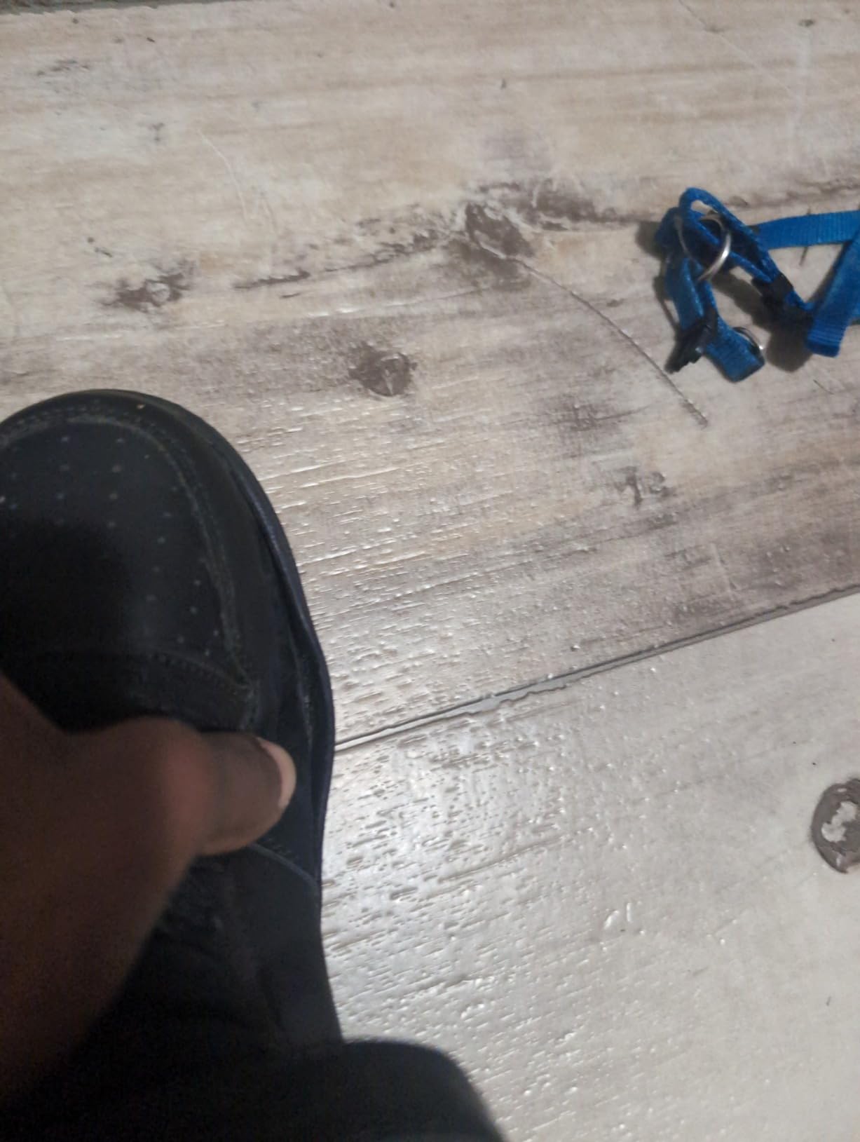 Close-up of sole separation problem showing rubber bottom detaching from sneaker upper
