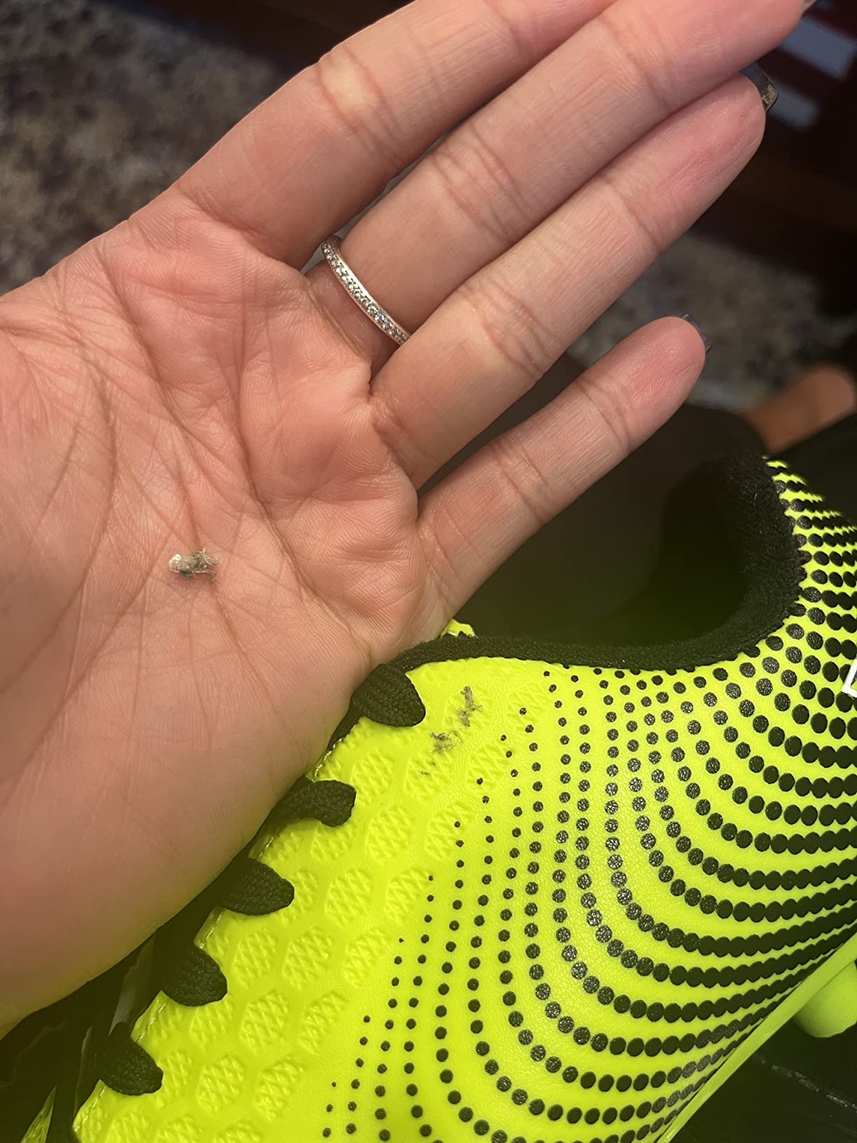 Used Vizari Stealth cleats after season showing wear pattern and overall condition