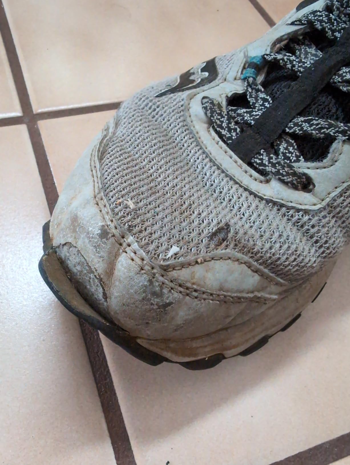 Saucony TR15 outsole detail showing carbon rubber lugs and tread pattern for trail traction