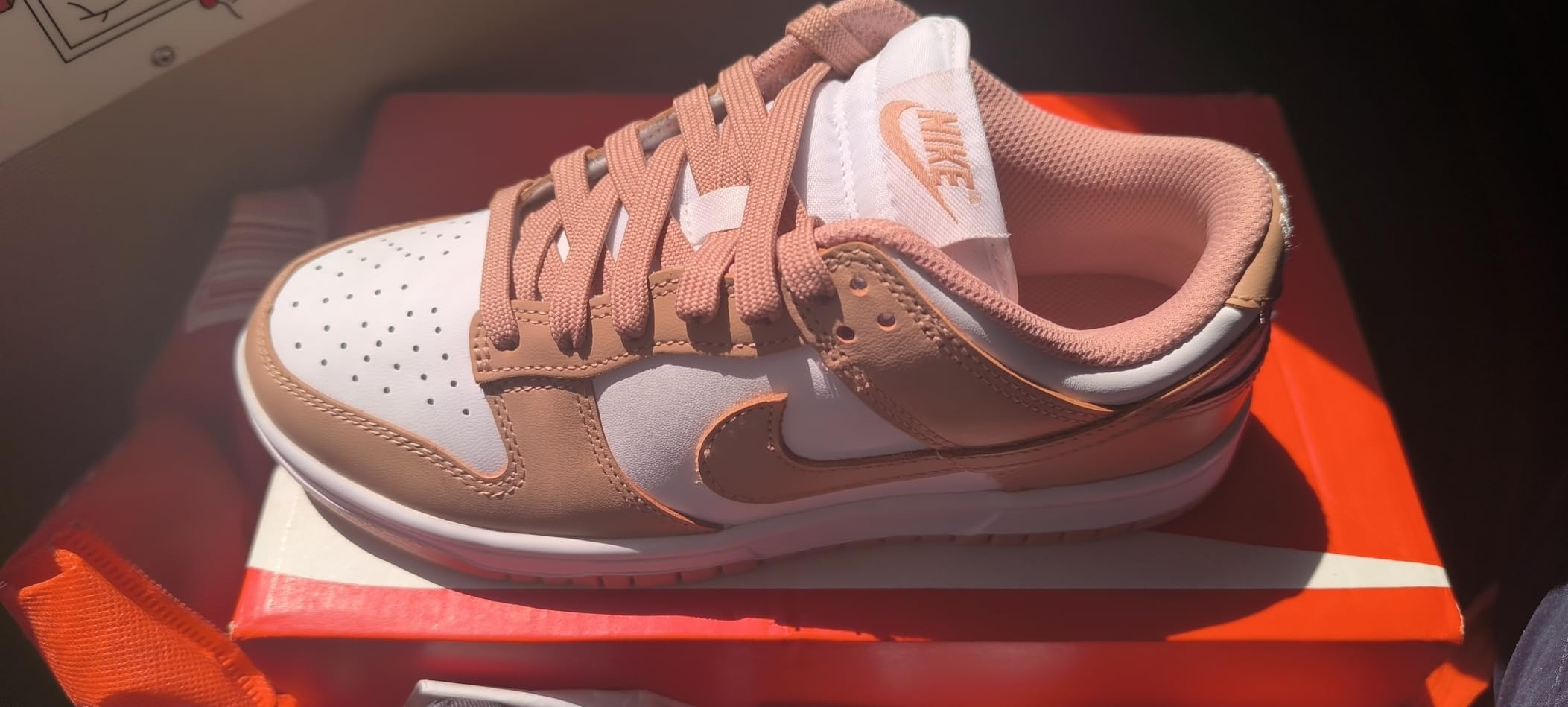 Nike Dunk Low colorway options showing variety of classic and modern color combinations