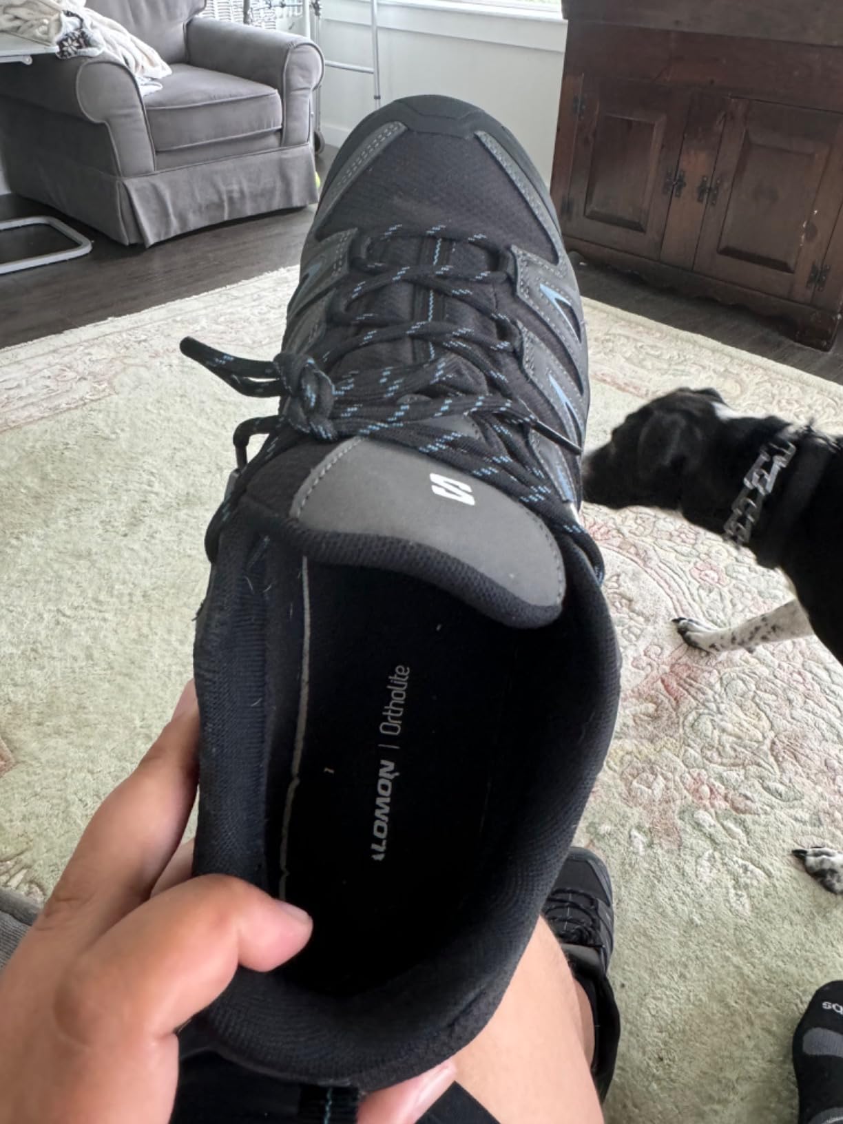 Salomon X Ultra Pioneer side profile showing Advanced Chassis placement between midsole and outsole for stability