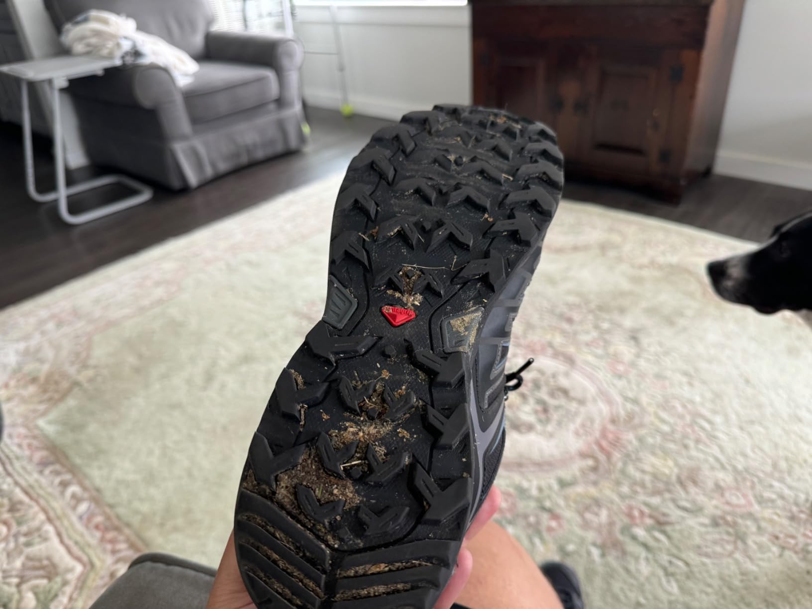Salomon X Ultra Pioneer in action on rocky trail showing performance in real hiking conditions