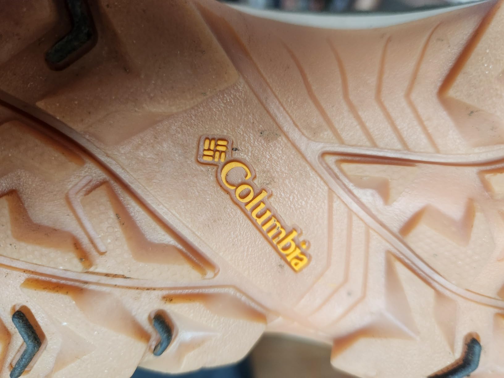 Columbia Crestwood hiking shoe on trail showing green colorway and outdoor performance