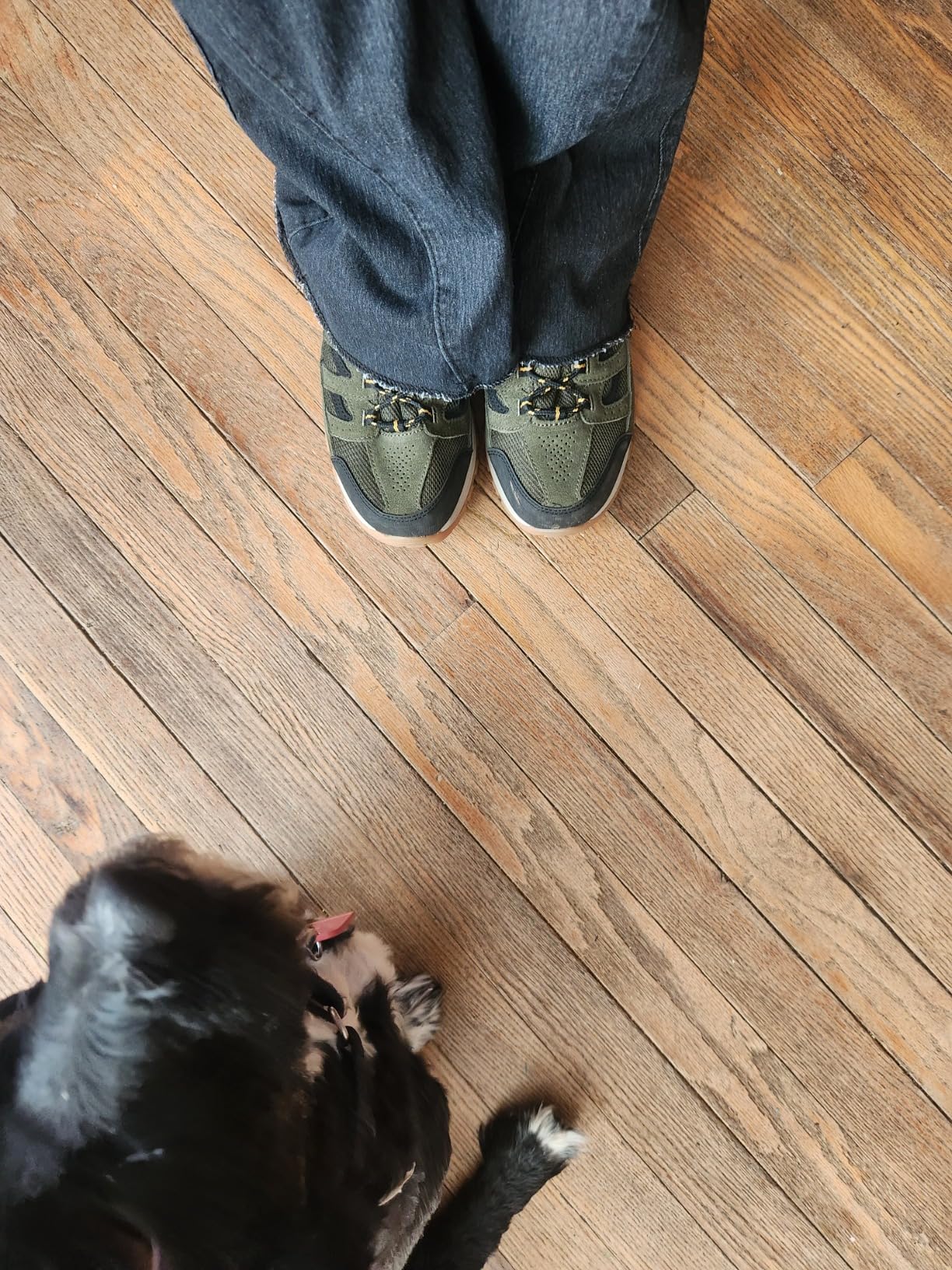 Columbia Crestwood hiking shoes tested on varied trail surfaces and conditions