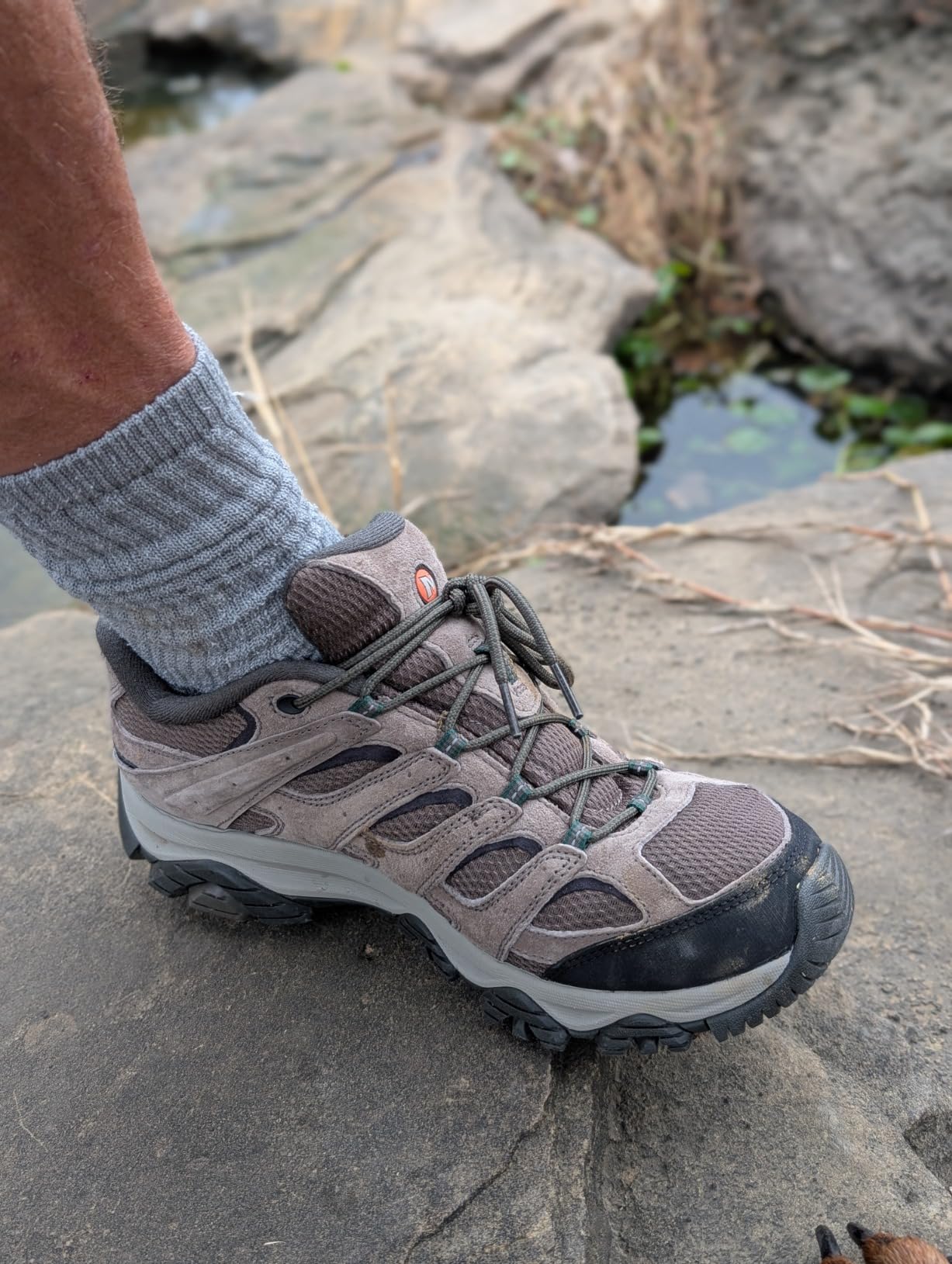Side profile of Merrell Moab 3 waterproof hiking shoe showing ankle support and heel construction