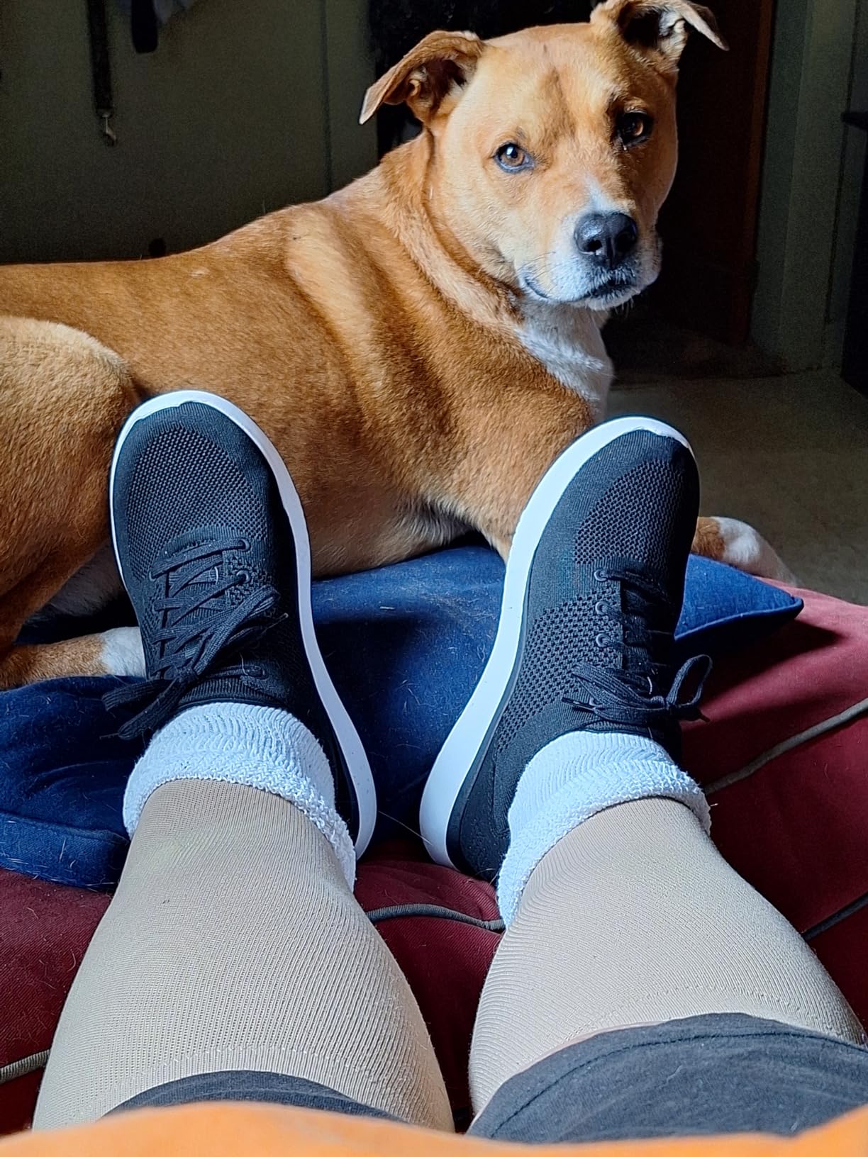 Kizik Lima sneakers being worn in real-world daily activities