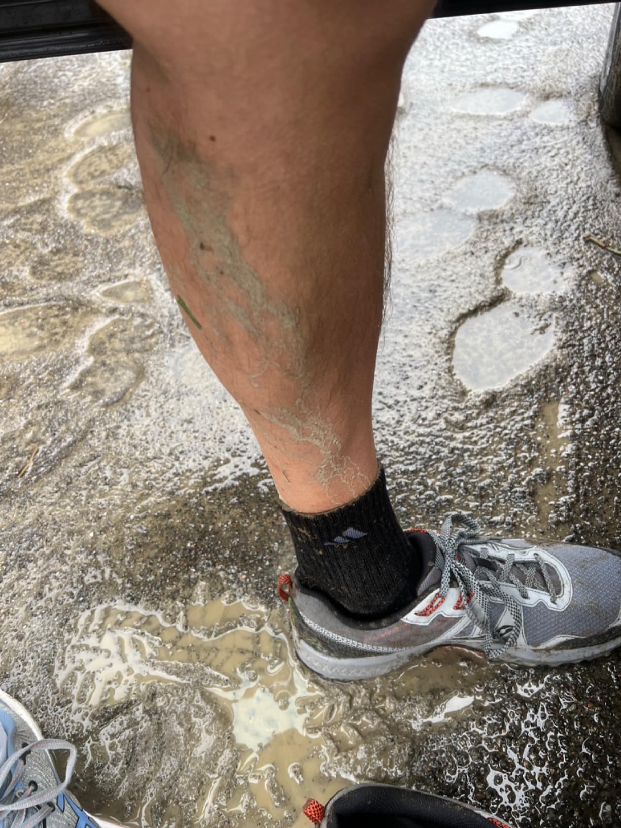 Saucony TR14 in wet leaf and mud scenario from user photo