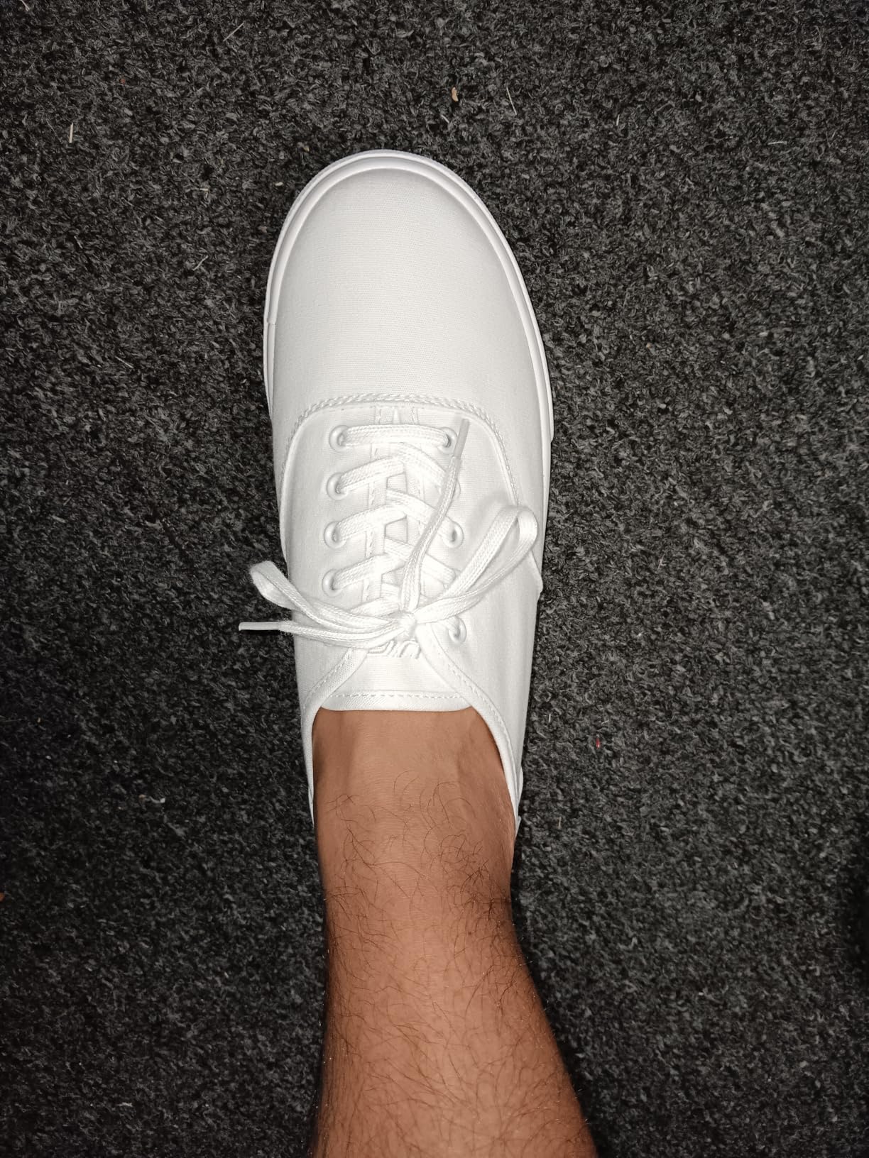 Lugz Lear sneaker side profile showing canvas upper construction and padded collar detail