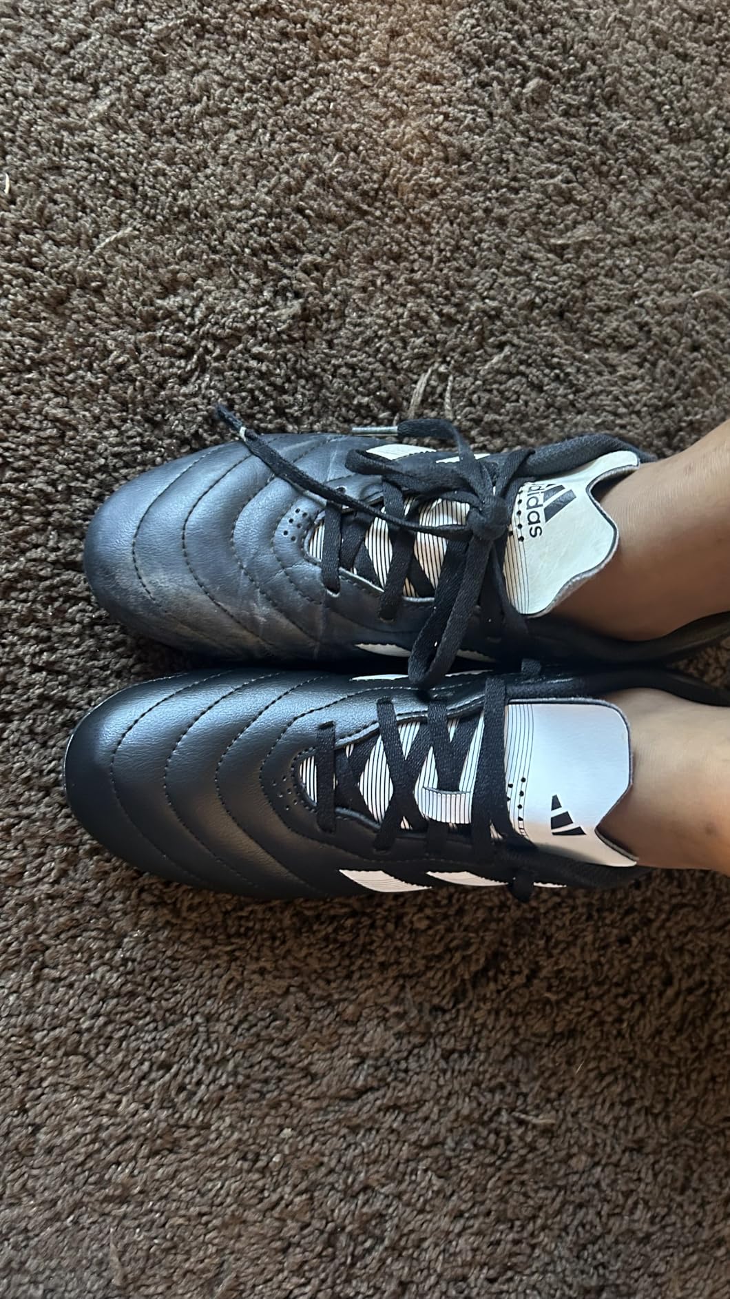 Adidas Goletto VII cleats side by side comparison showing different angles