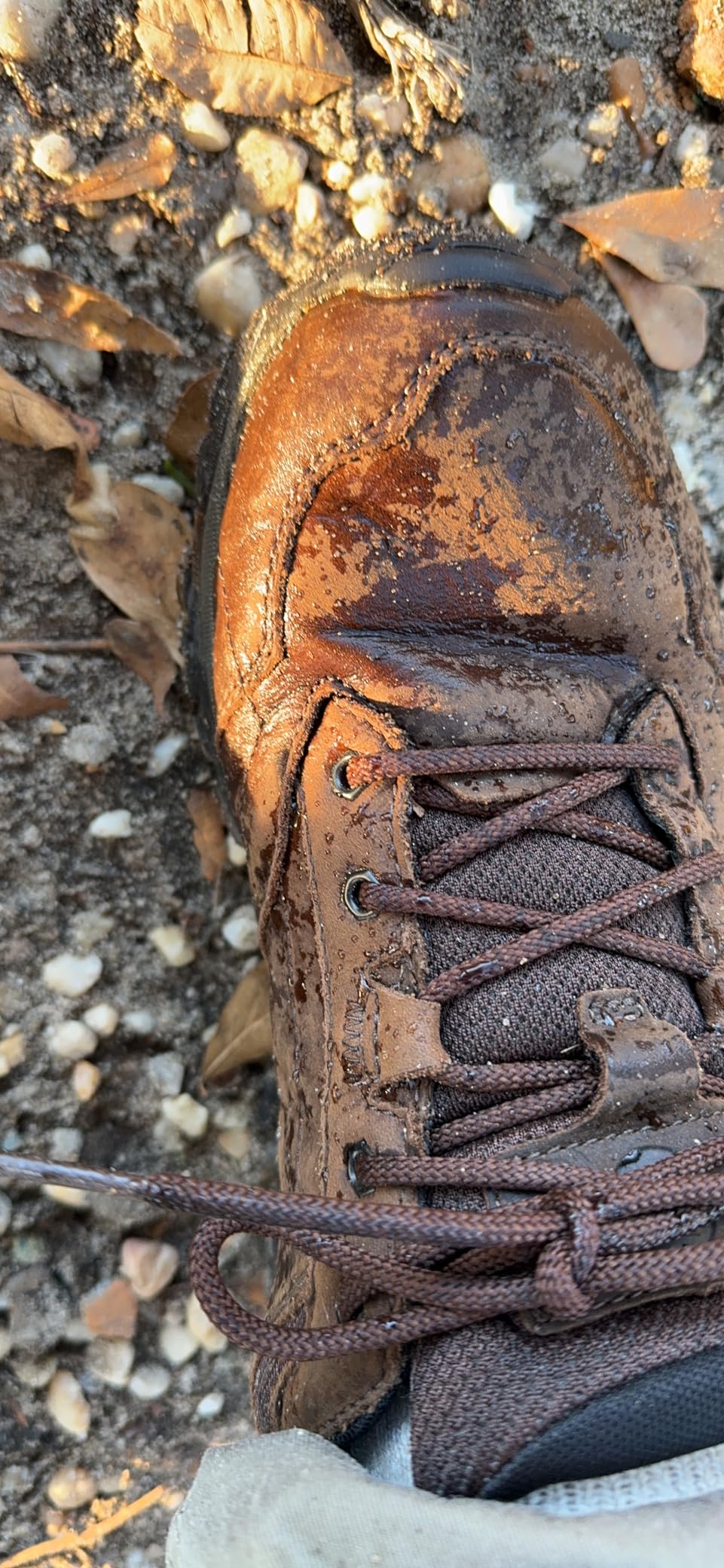 Final assessment photo of Merrell Adventure Lace showing overall condition after testing period