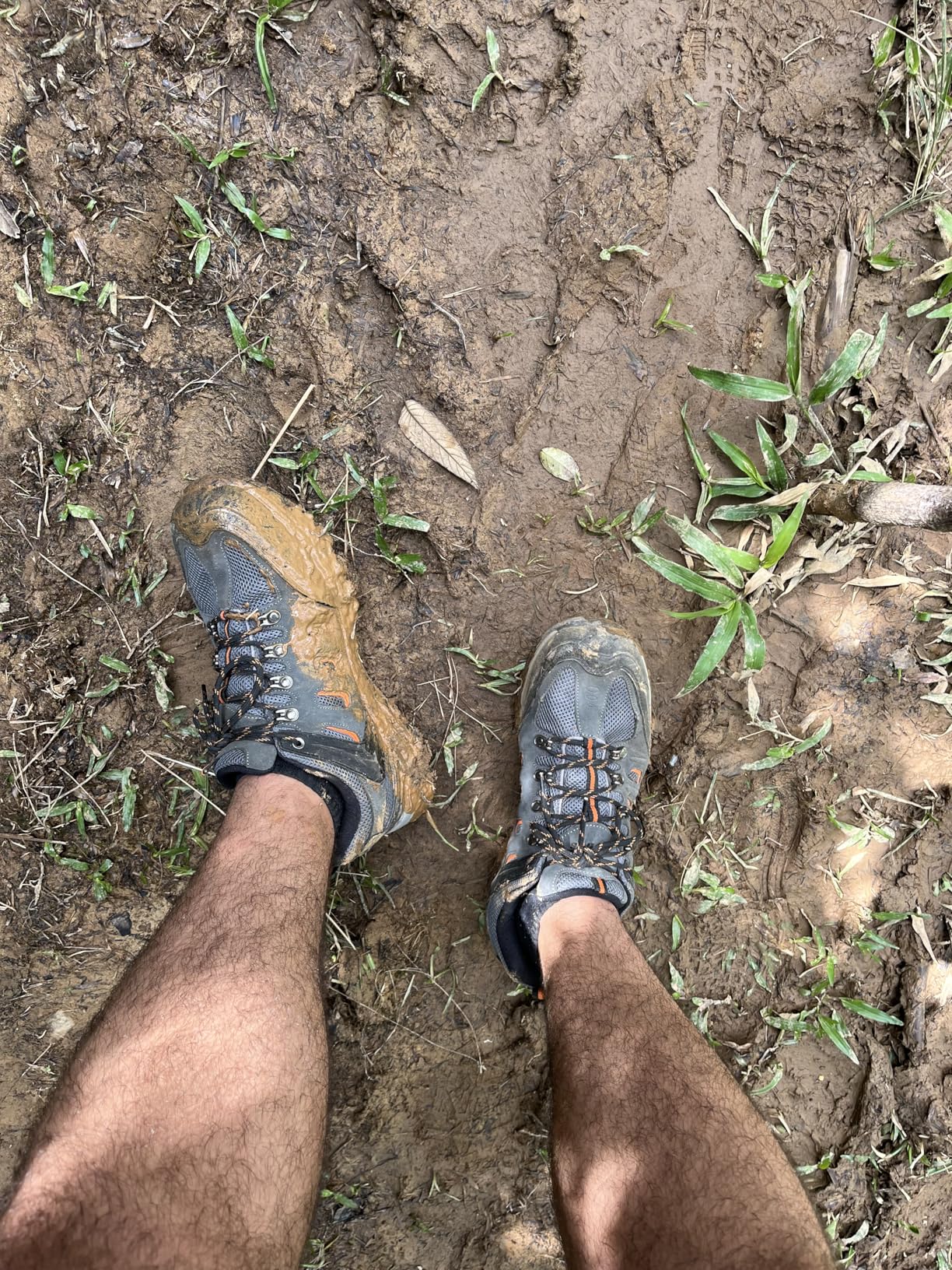 Bottom view of NORTIV 8 hiking shoe showing aggressive tread pattern and multi-directional lugs