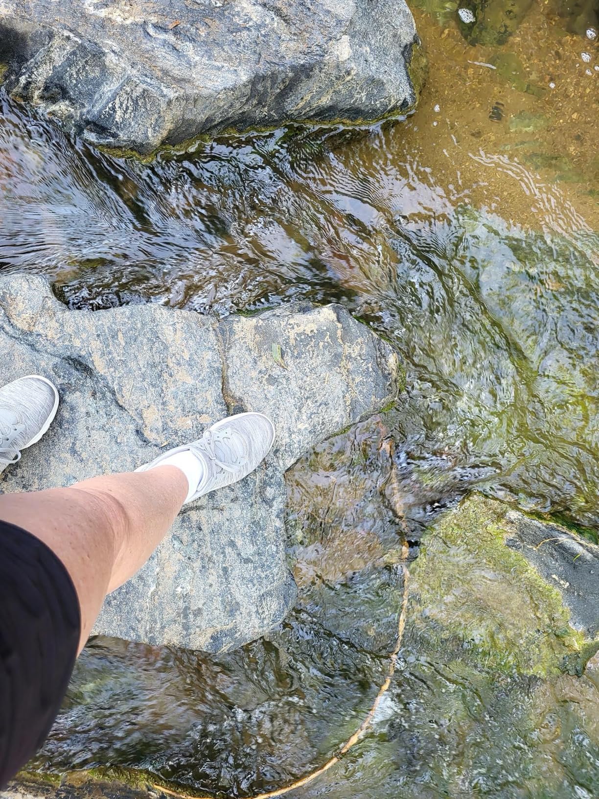 Skechers Go Walk 5-True in gray colorway showing versatile everyday styling