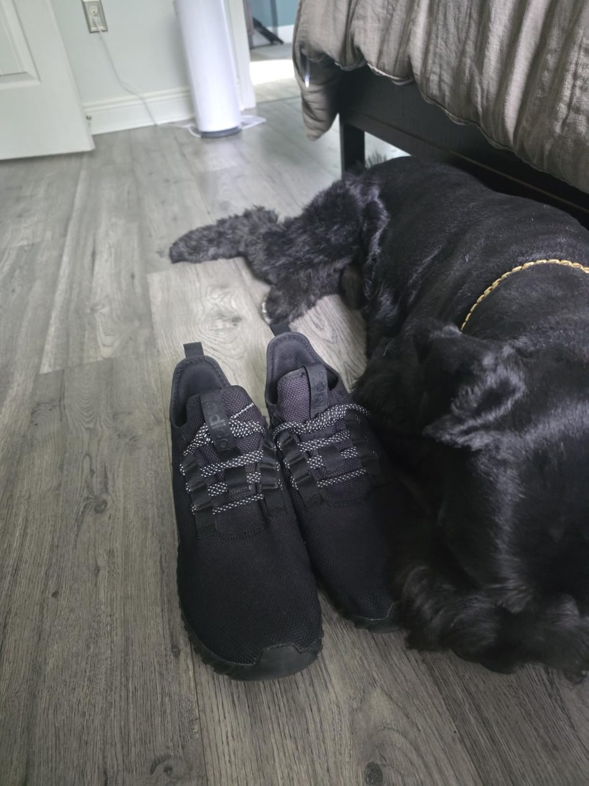 Review Adidas Kaptir 3.0 – Lightweight Comfort at $60 R