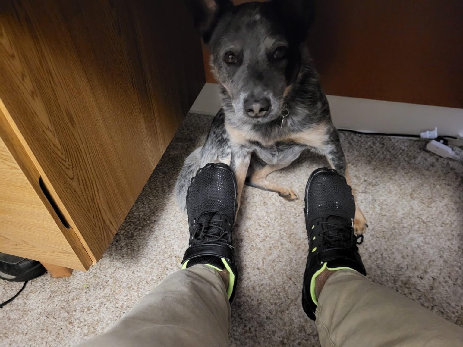 Review MIFAWA Barefoot Shoes – Zero Drop Training Performance $30 e