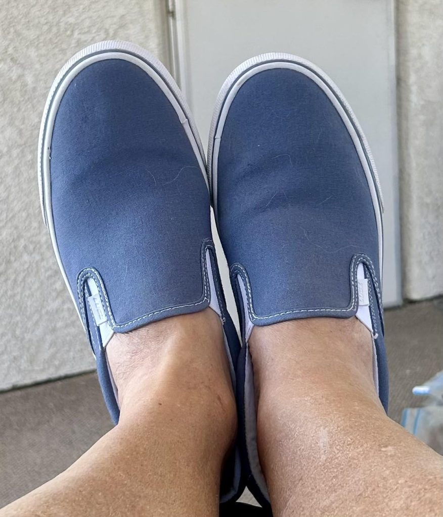 Lugz Men’s Clipper Fashion Sneaker Review – Budget Vans Alternative Worth $35? u